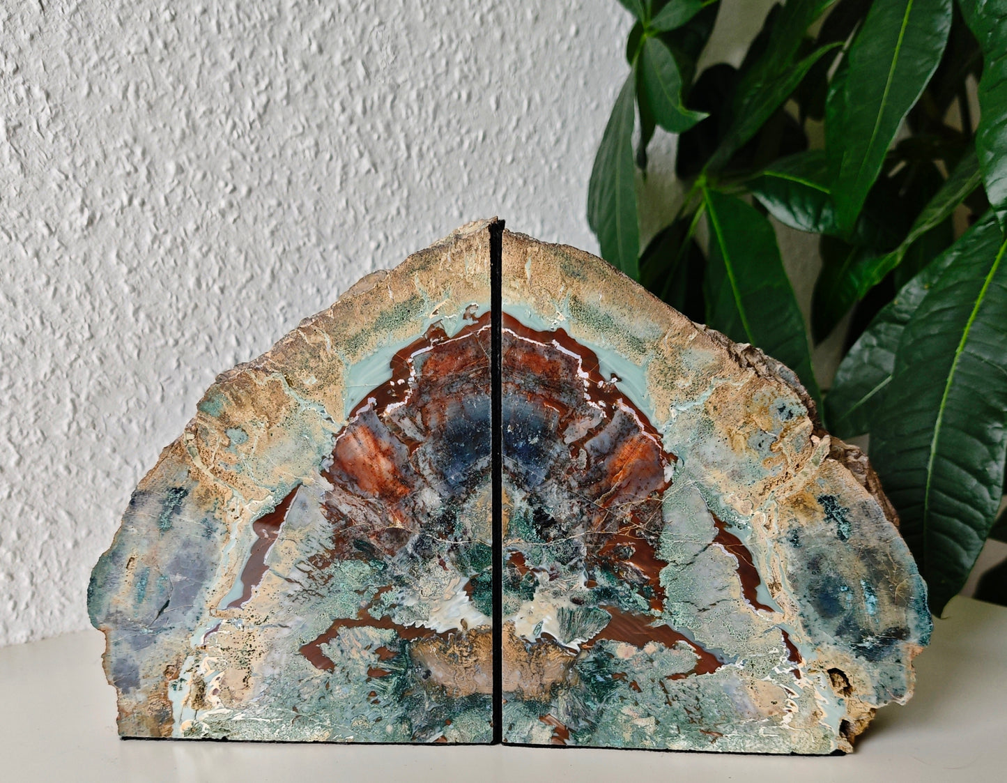 Arizona Versteinertes Holz Buchstützen 4,8kg