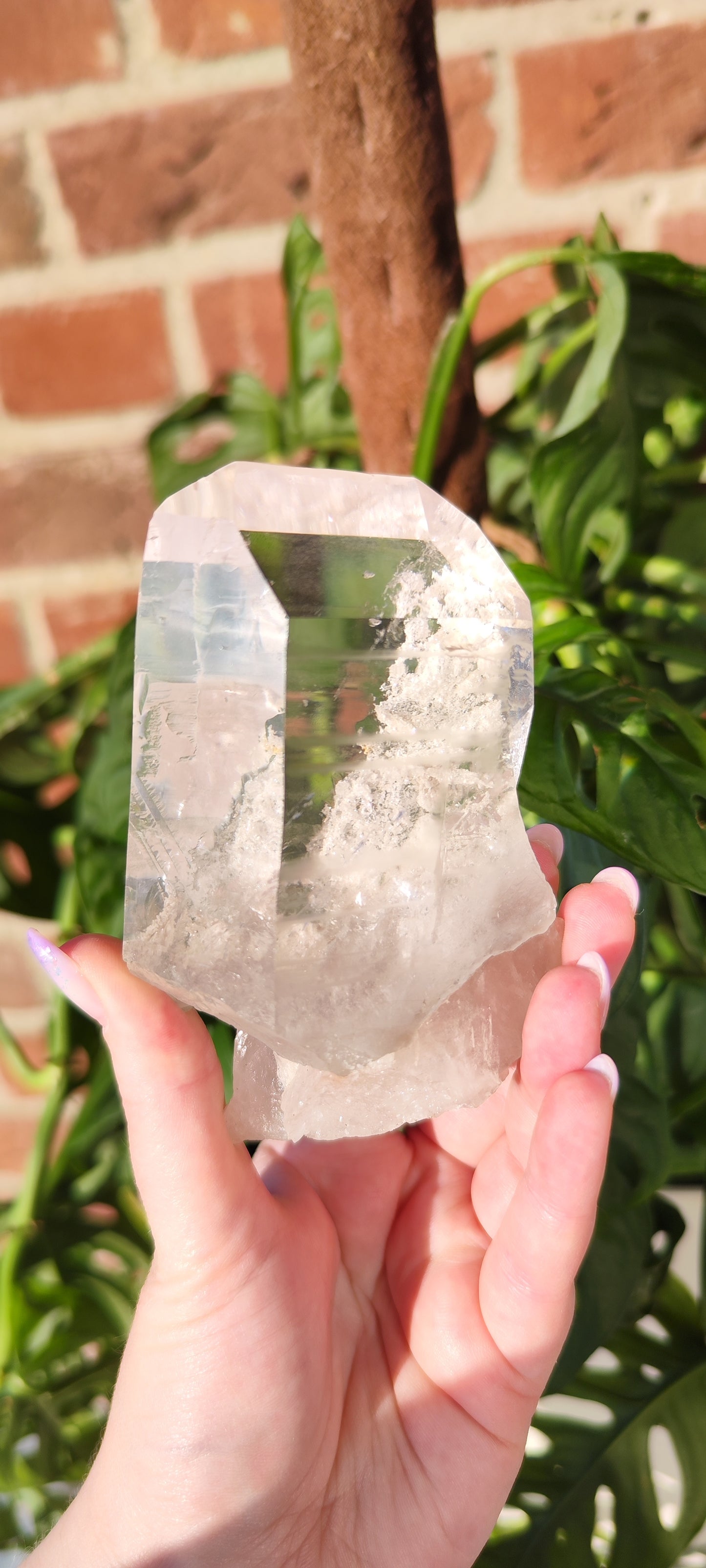 Diamantina Lemurian Schneegartenquarz