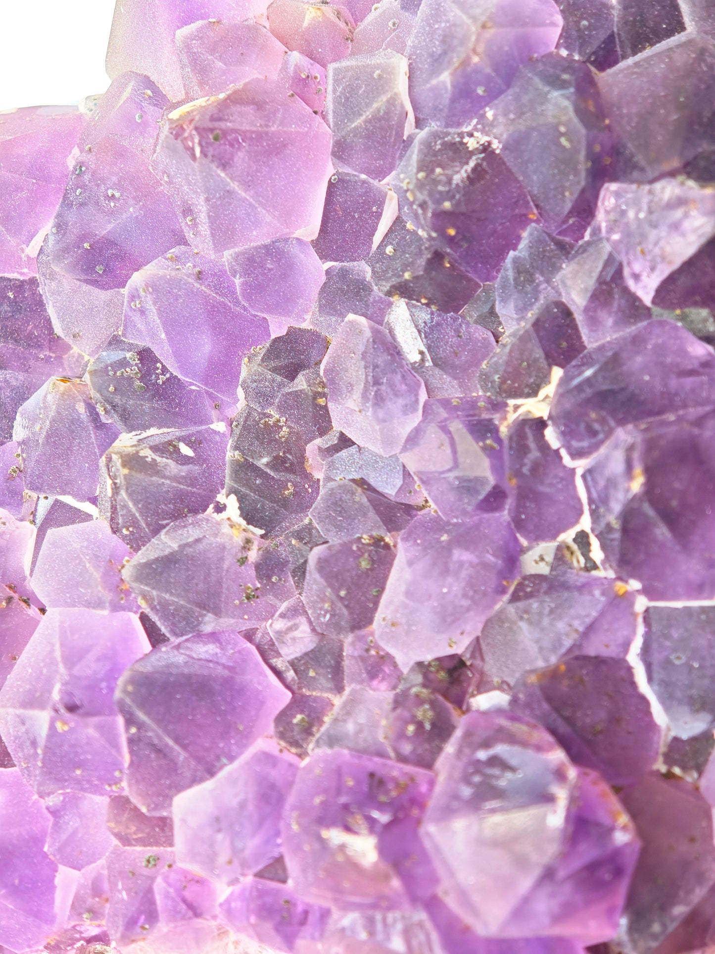 Sugar Amethyst 110