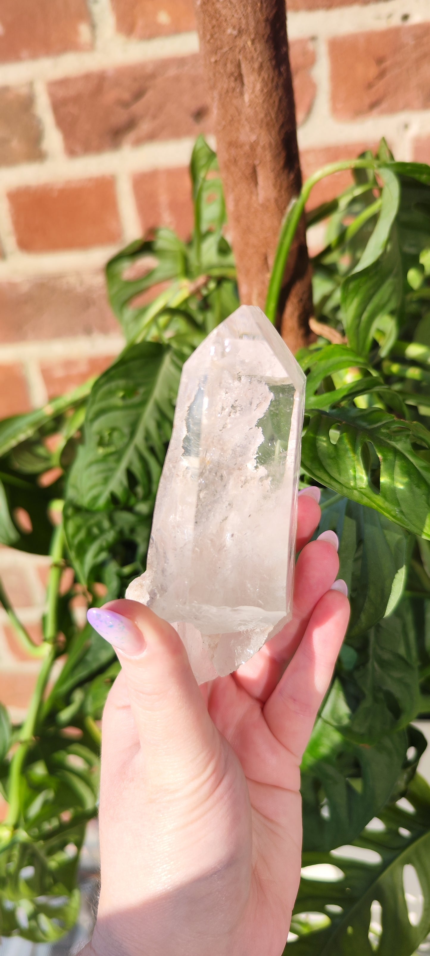 Diamantina Lemurian Schneegartenquarz