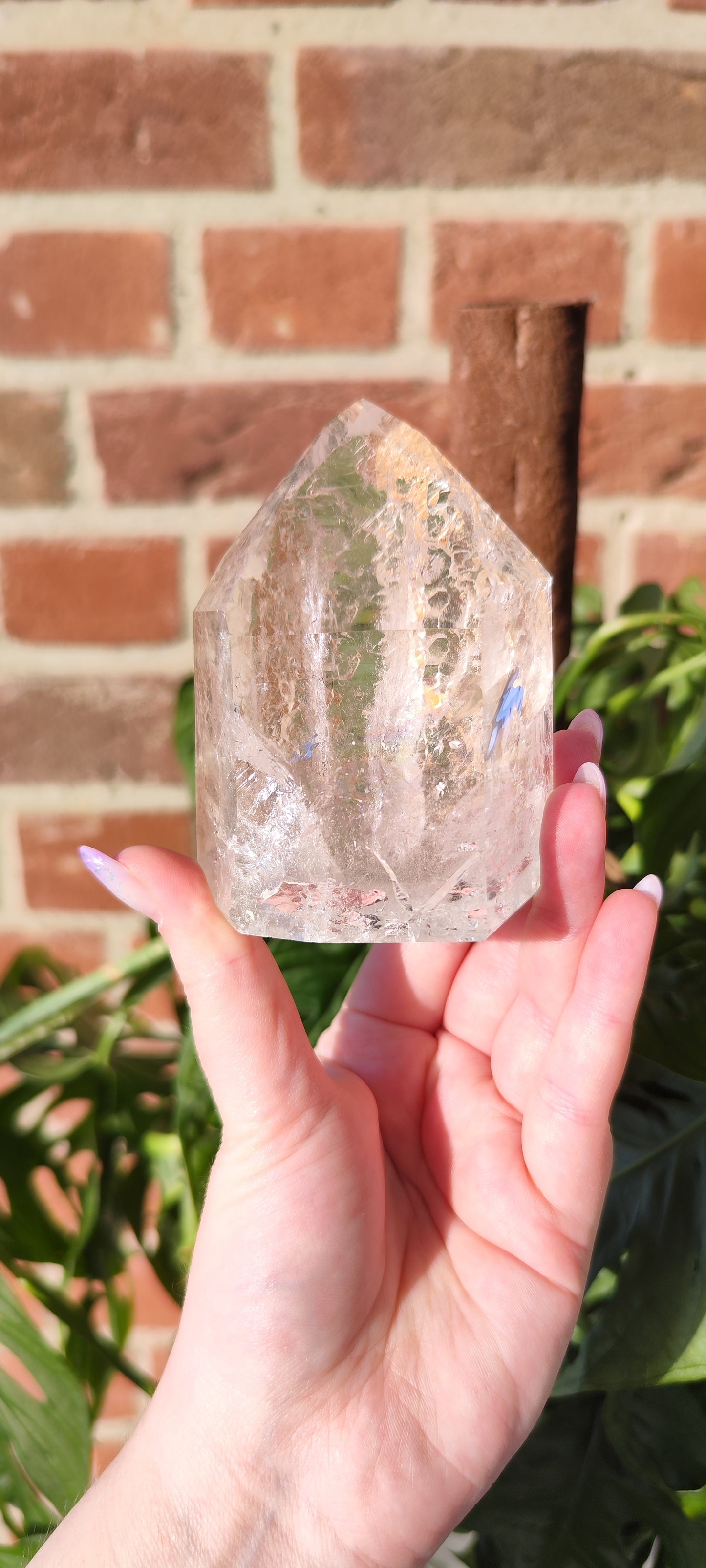 Gartenlemurian mit Record Keepern Turm