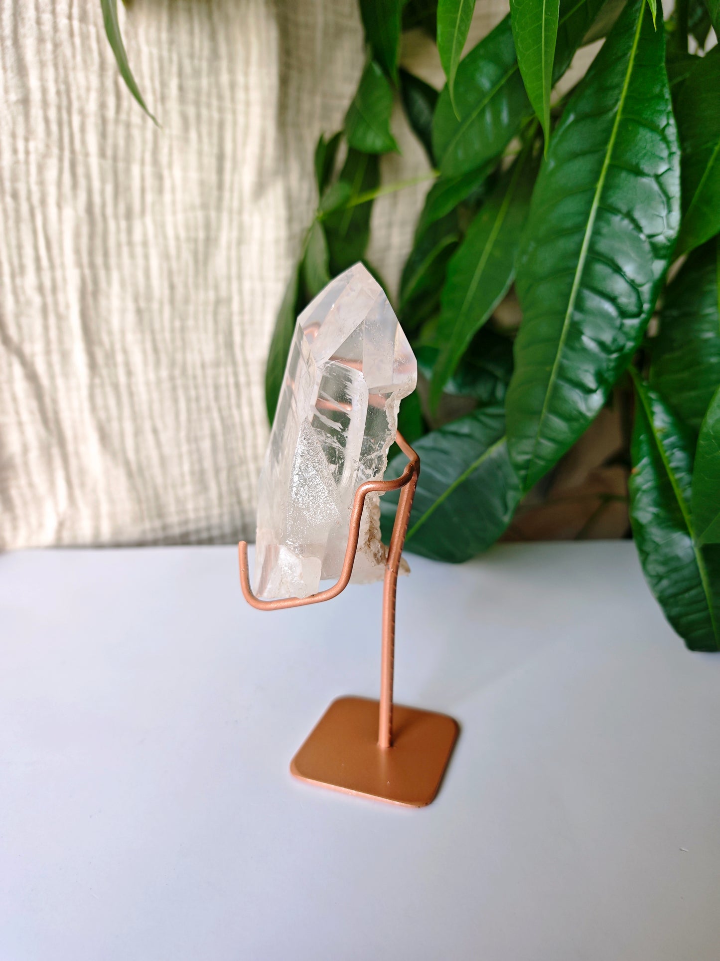Diamtina Weißer Gartenquarz Lemurian