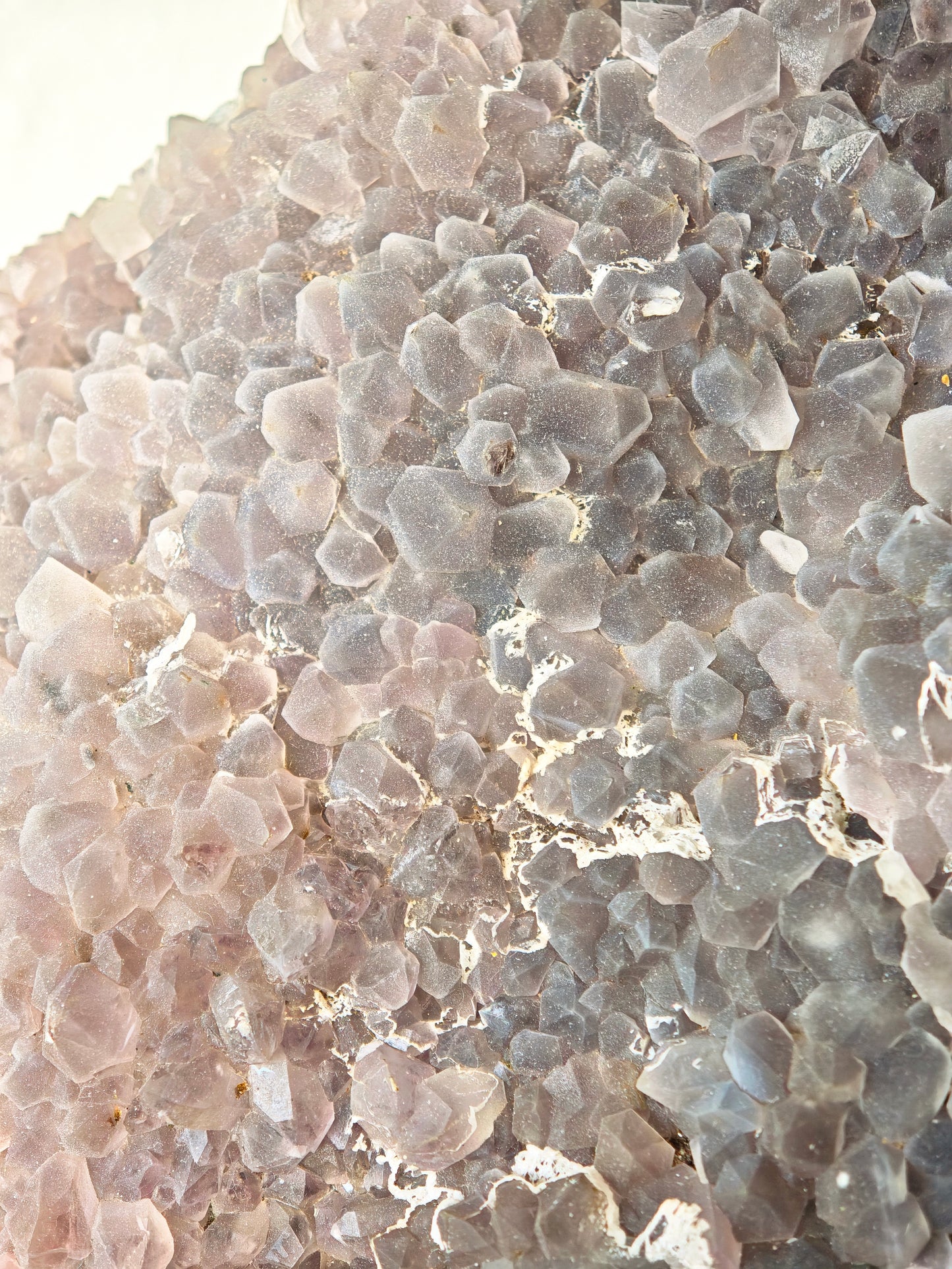 Sugar Amethyst 100