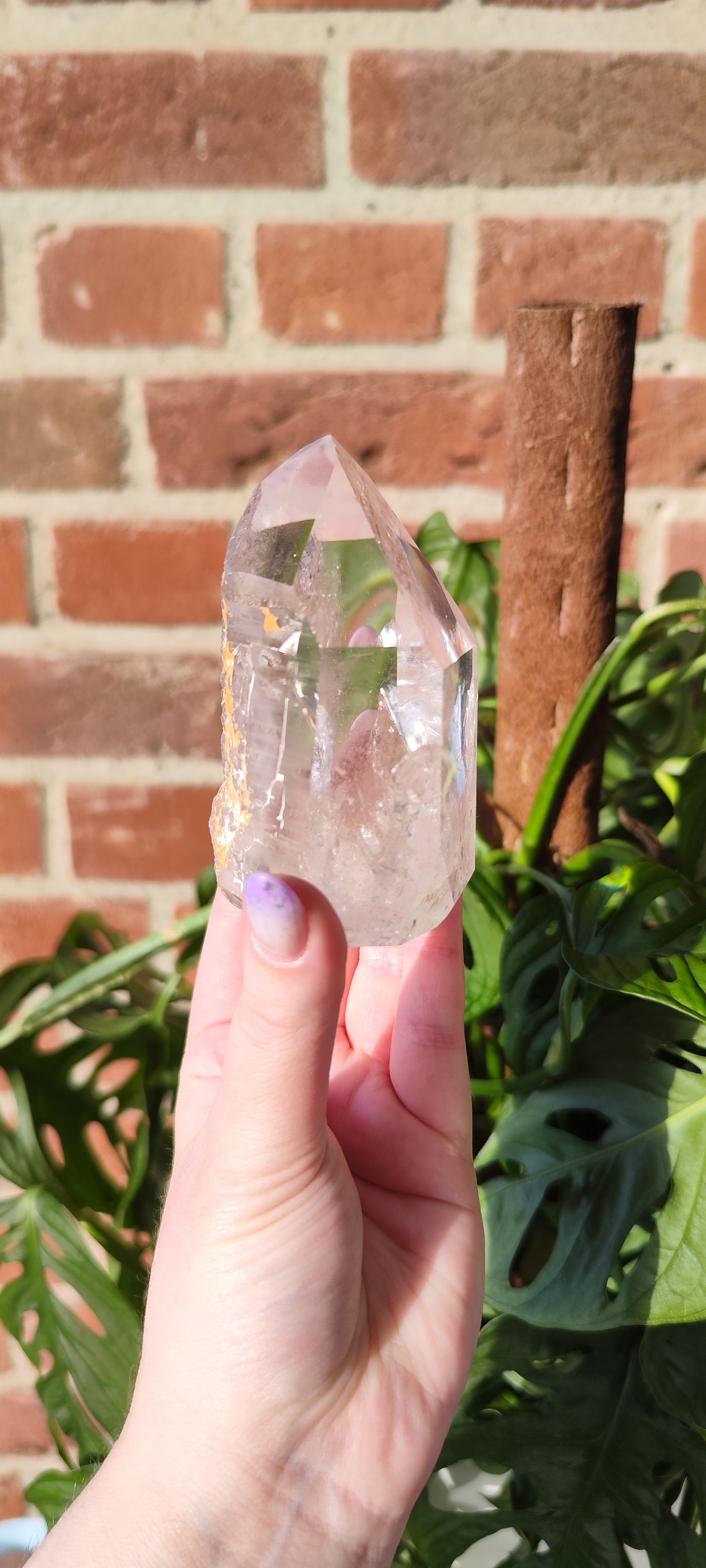 Gartenlemurian mit Record Keepern Turm