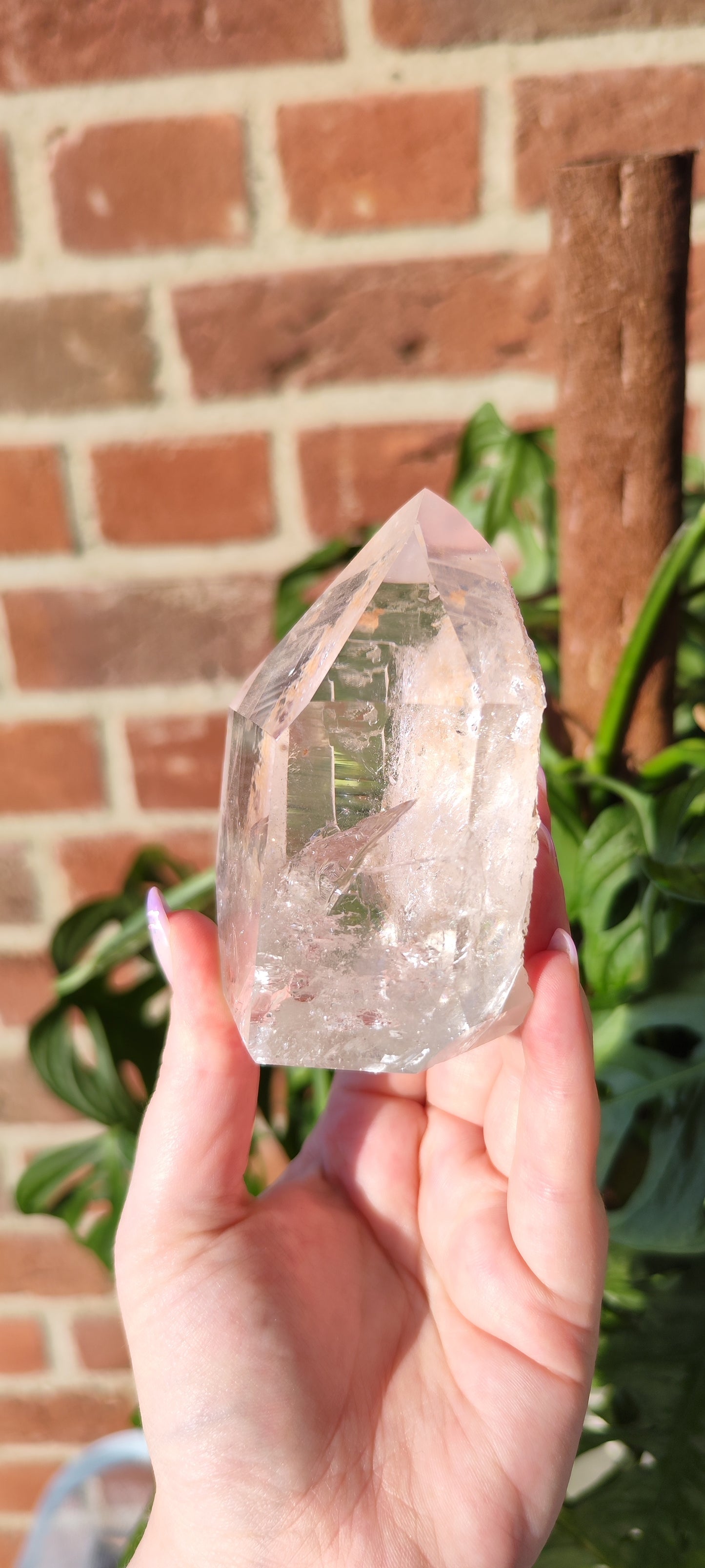 Gartenlemurian mit Record Keepern Turm