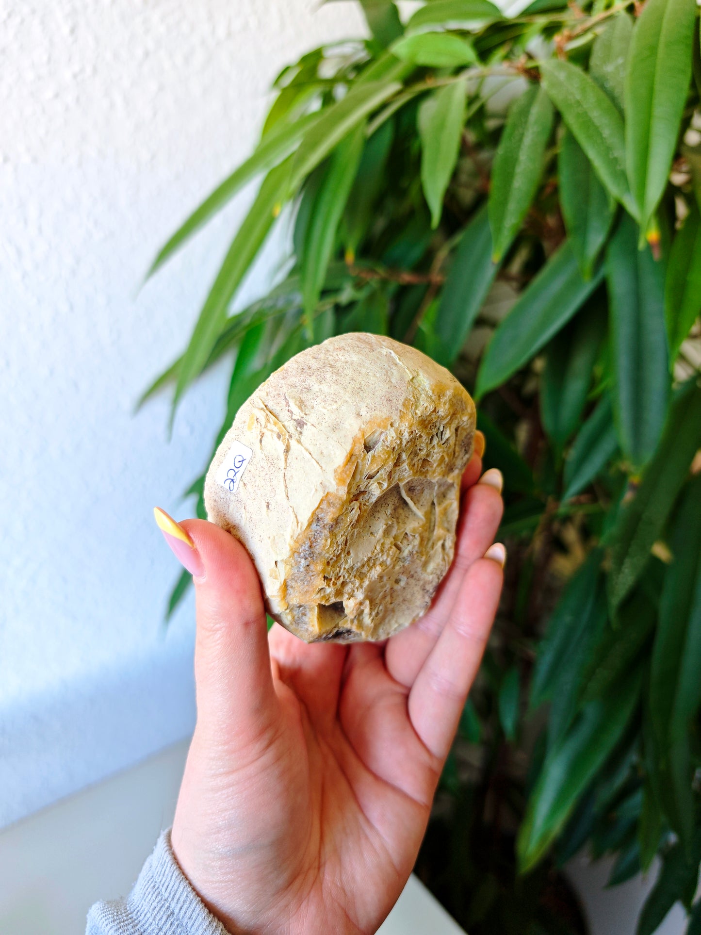 Achat Geode 22Q