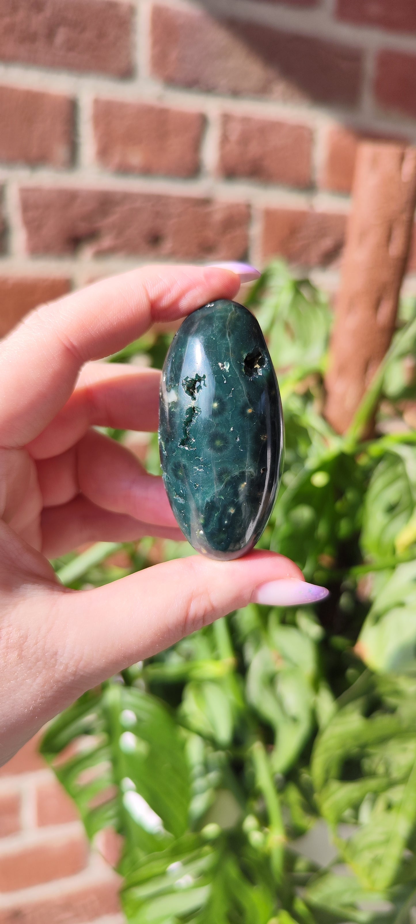 Ozean Jaspis Shiva 15