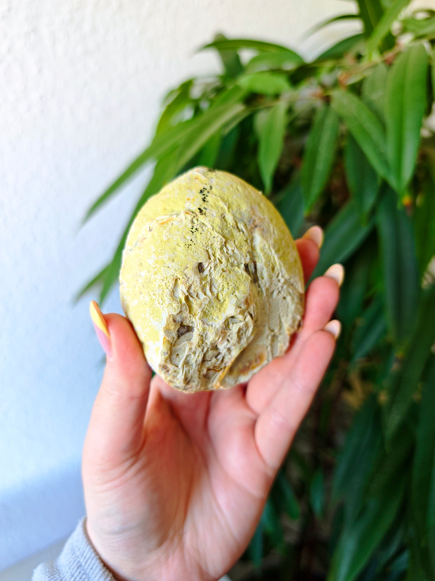 Achat Geode 14N
