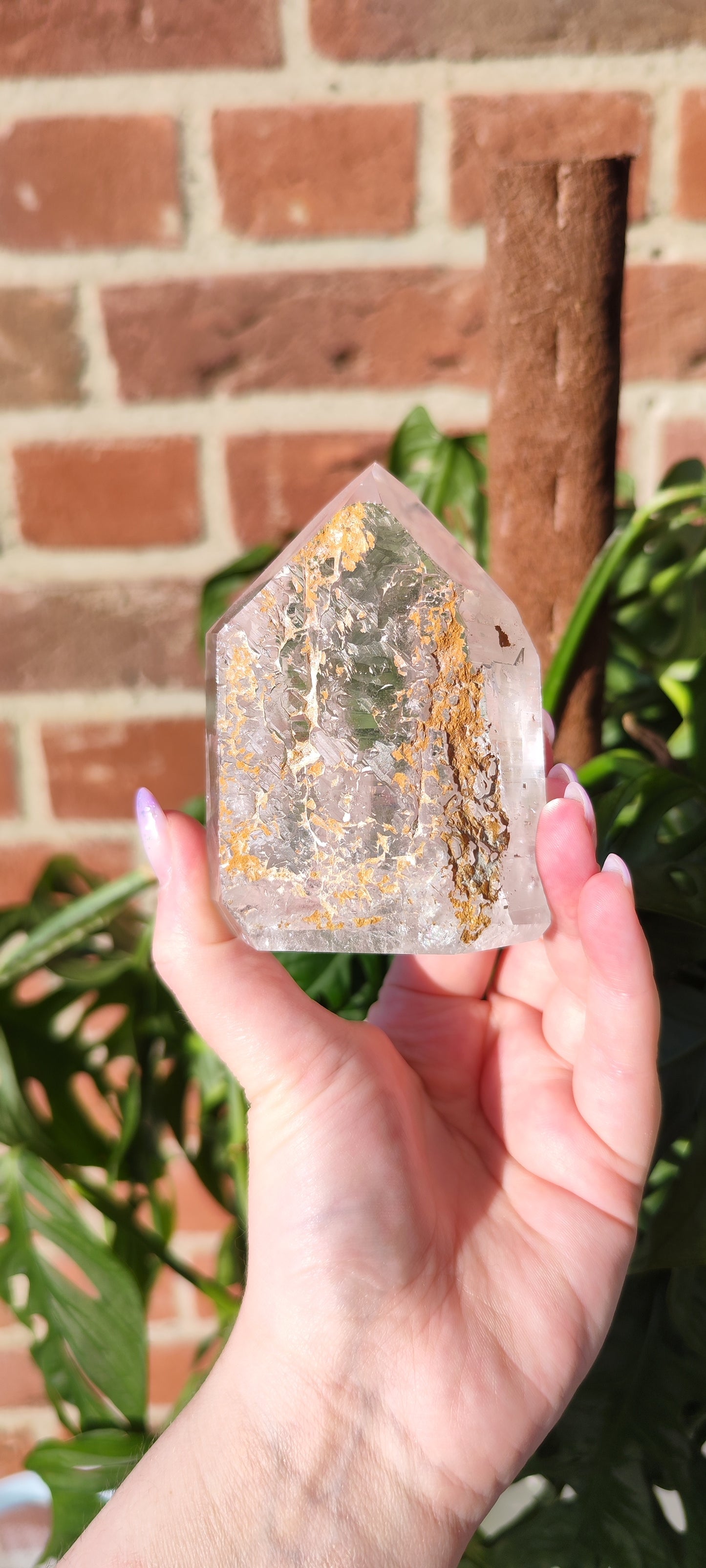 Gartenlemurian mit Record Keepern Turm
