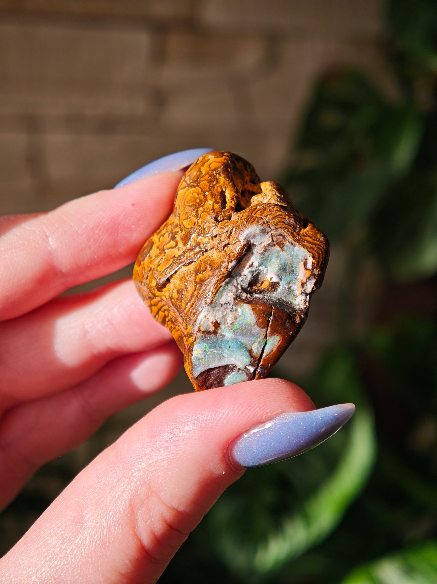 Boulder Opal 40C
