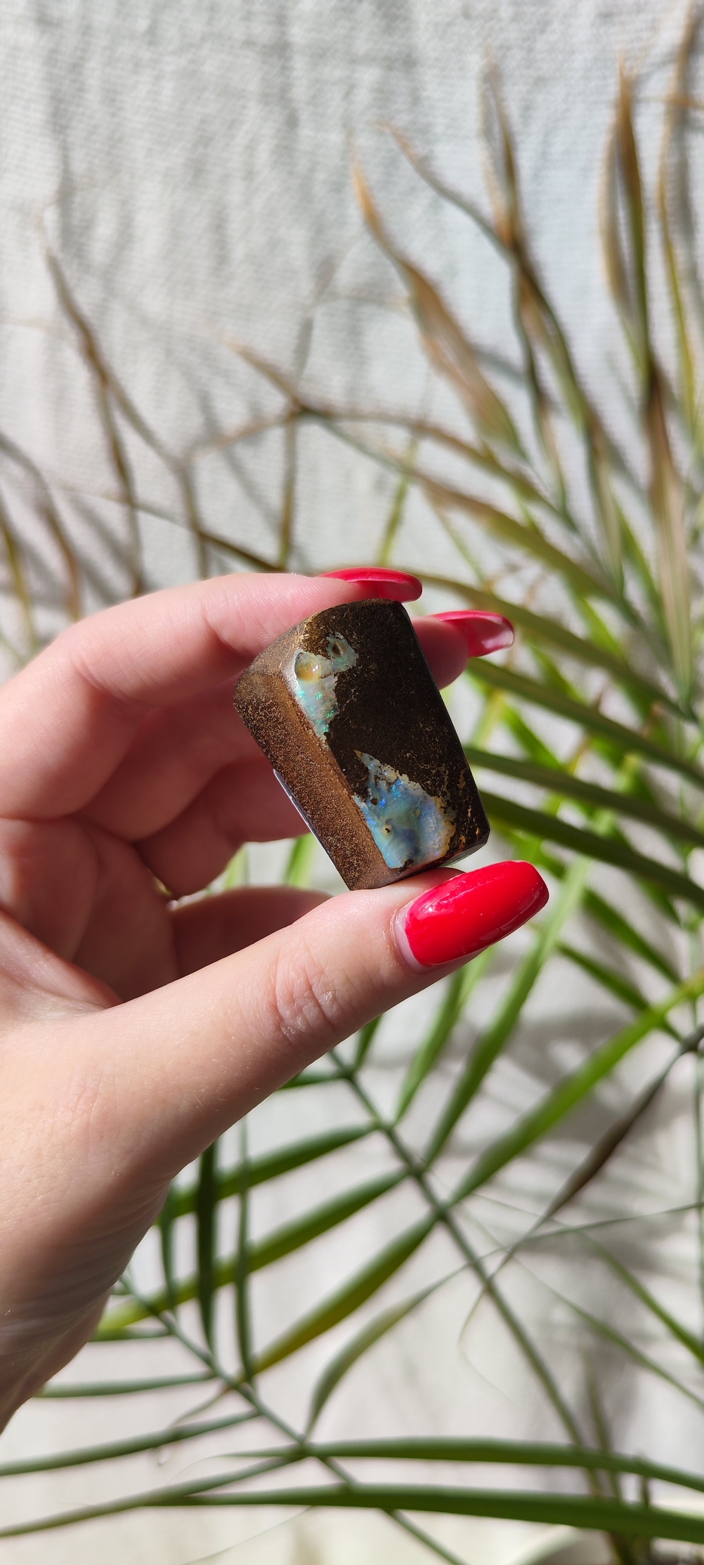 Boulder Opal Freiform B140