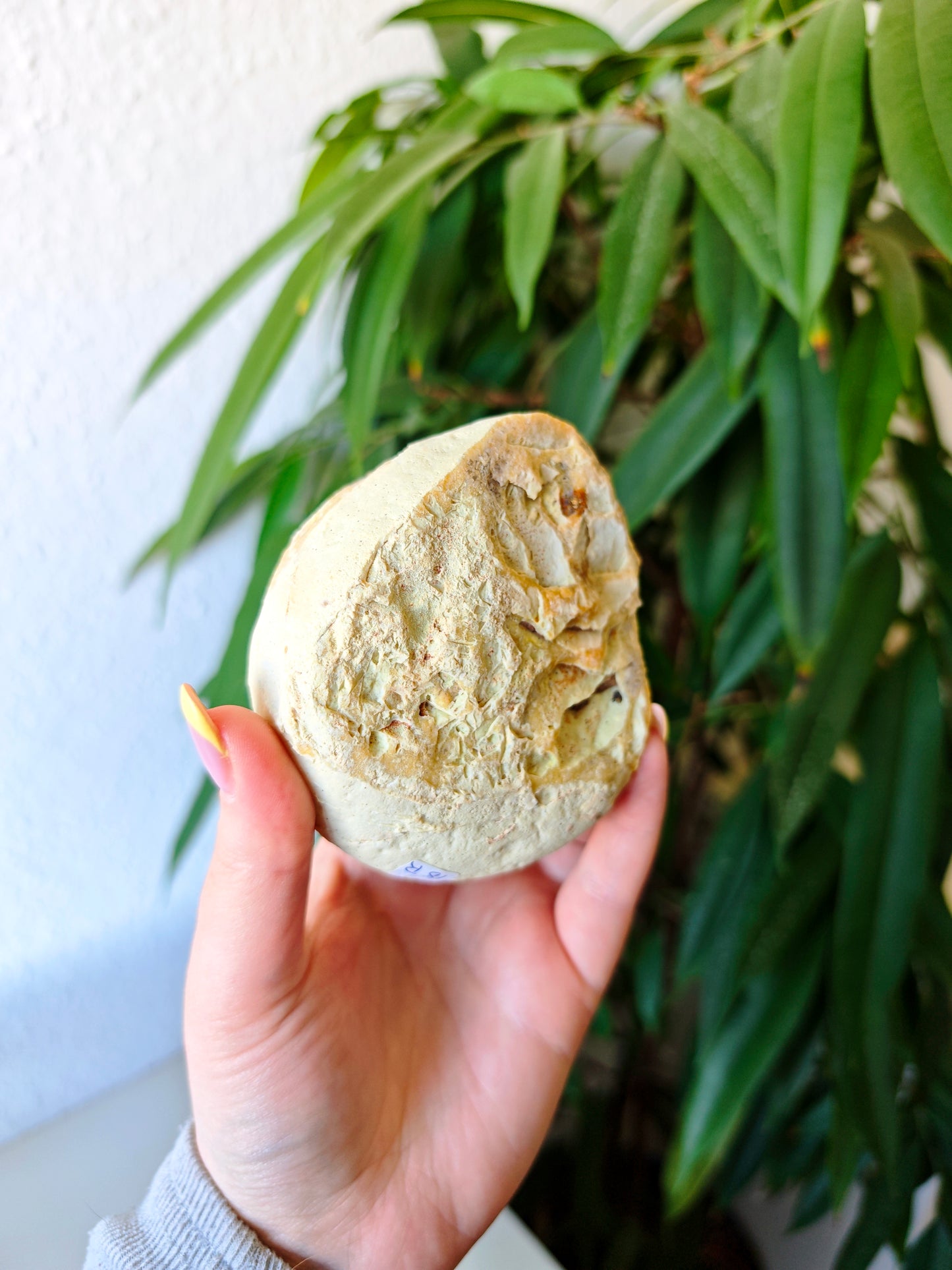 Achat Geode 18R