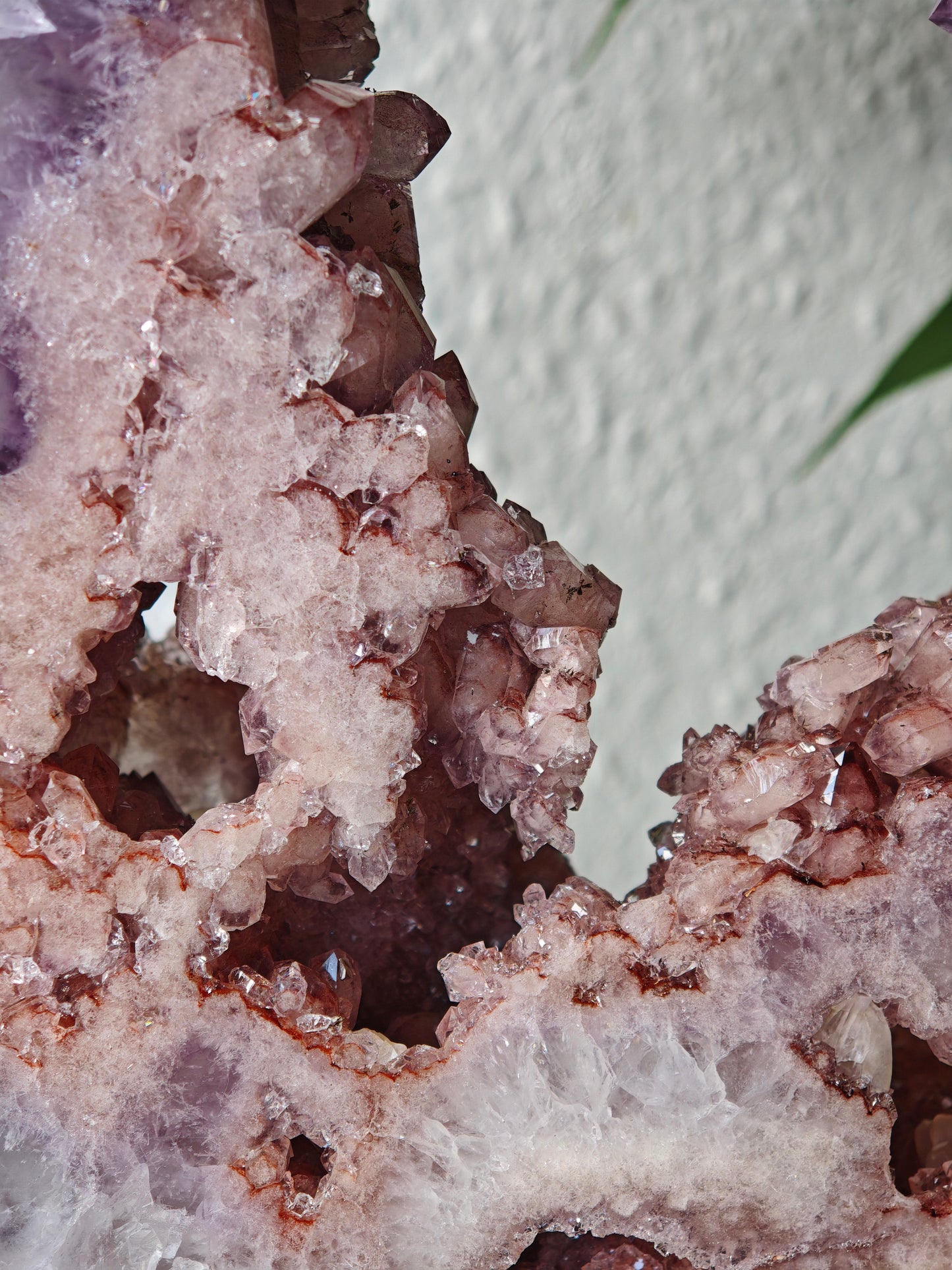 Statement Amethyst x Pinker Amethyst Portal