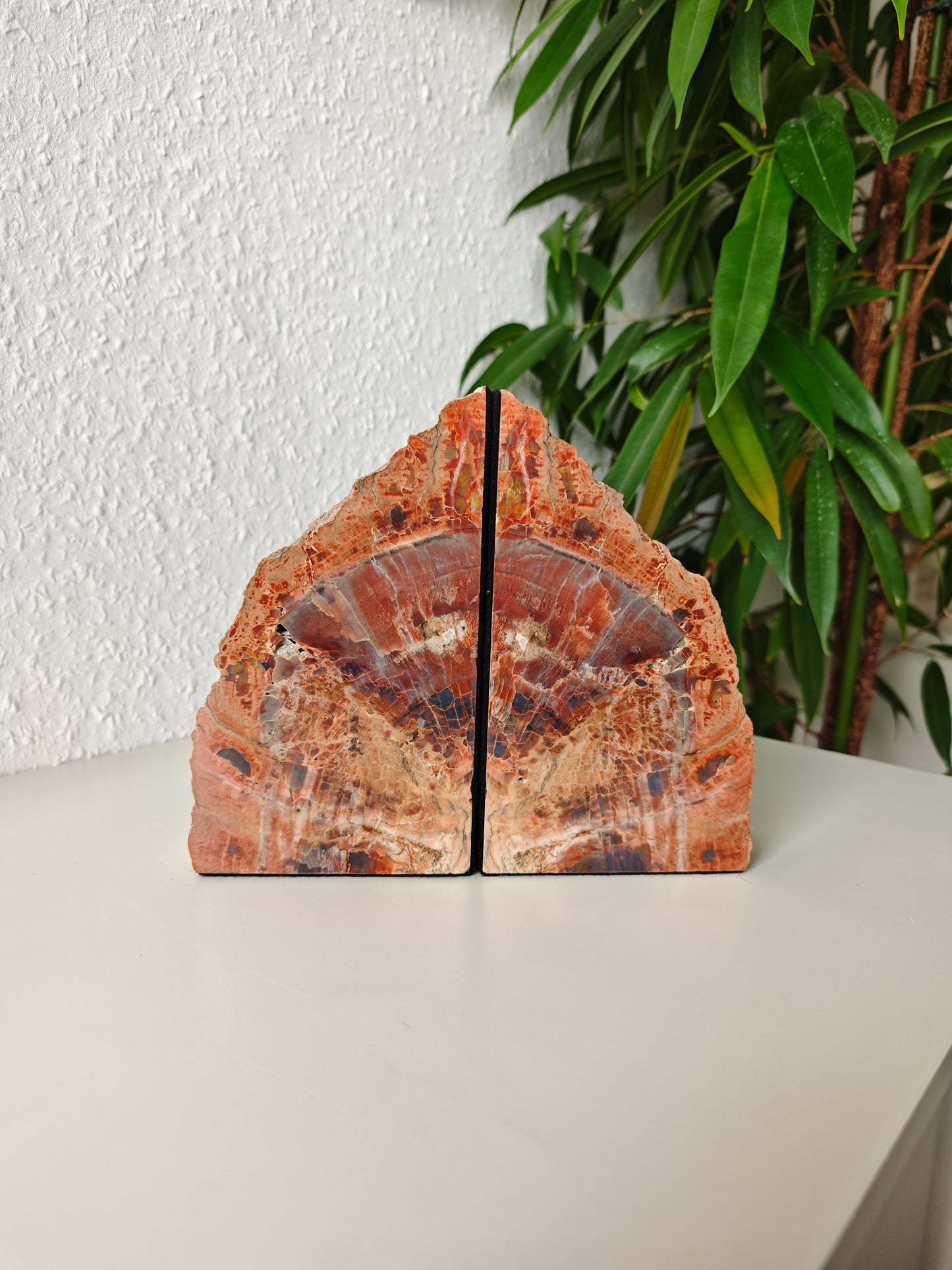 Arizona Versteinertes Holz Buchstützen 3,07kg