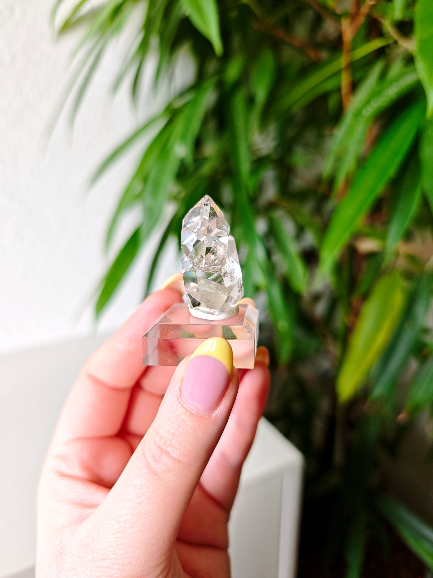 Herkimer 280J