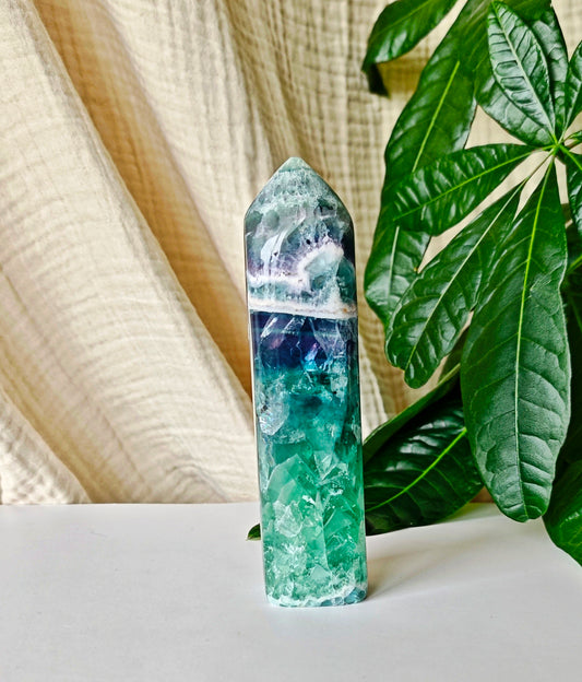 Durango Fluorit 102F