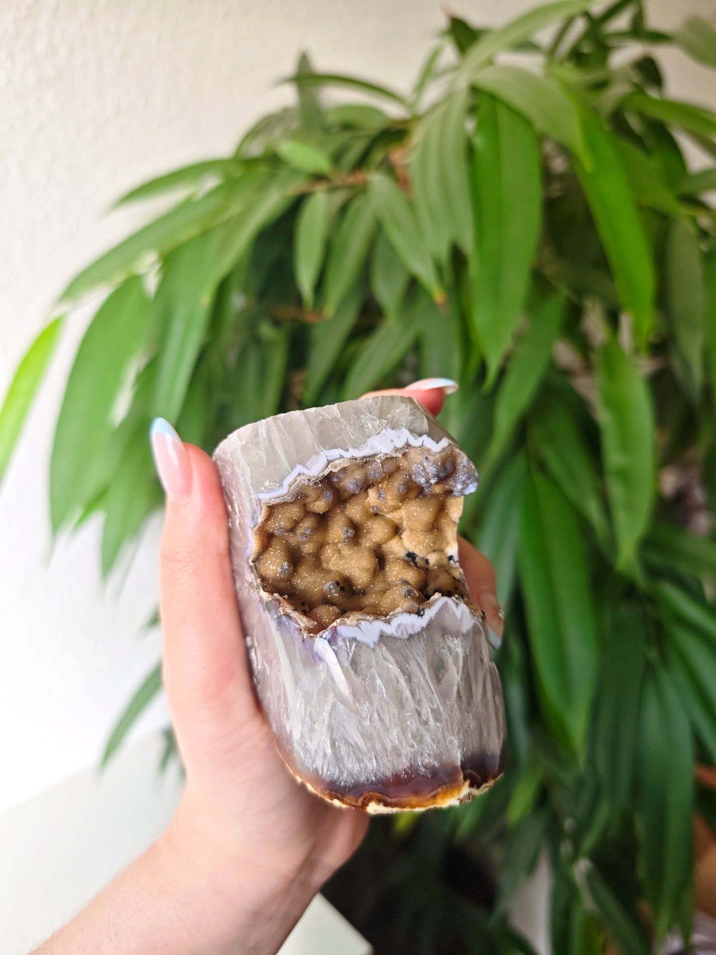 Sugar Achat Geode