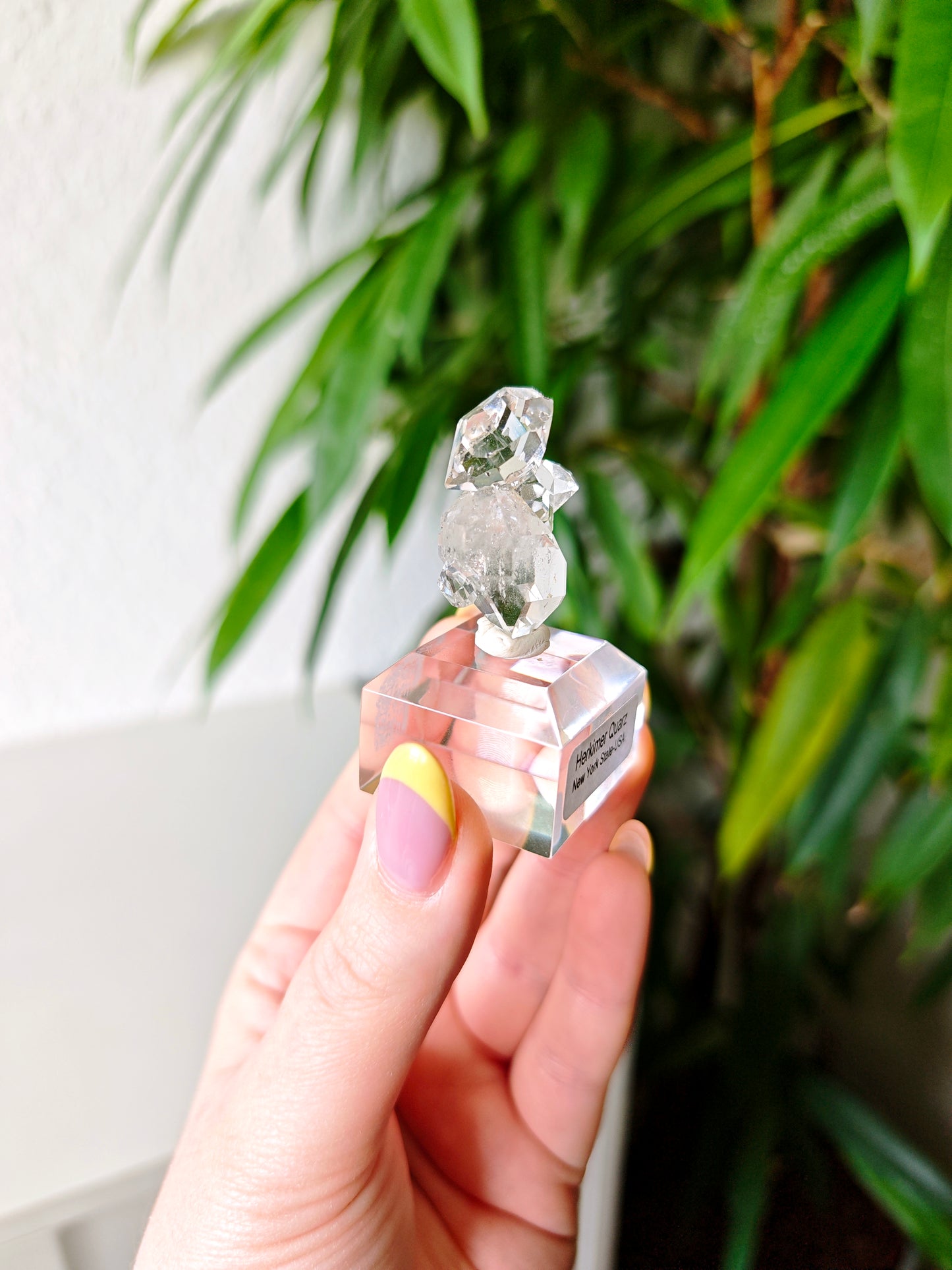 Herkimer 196E