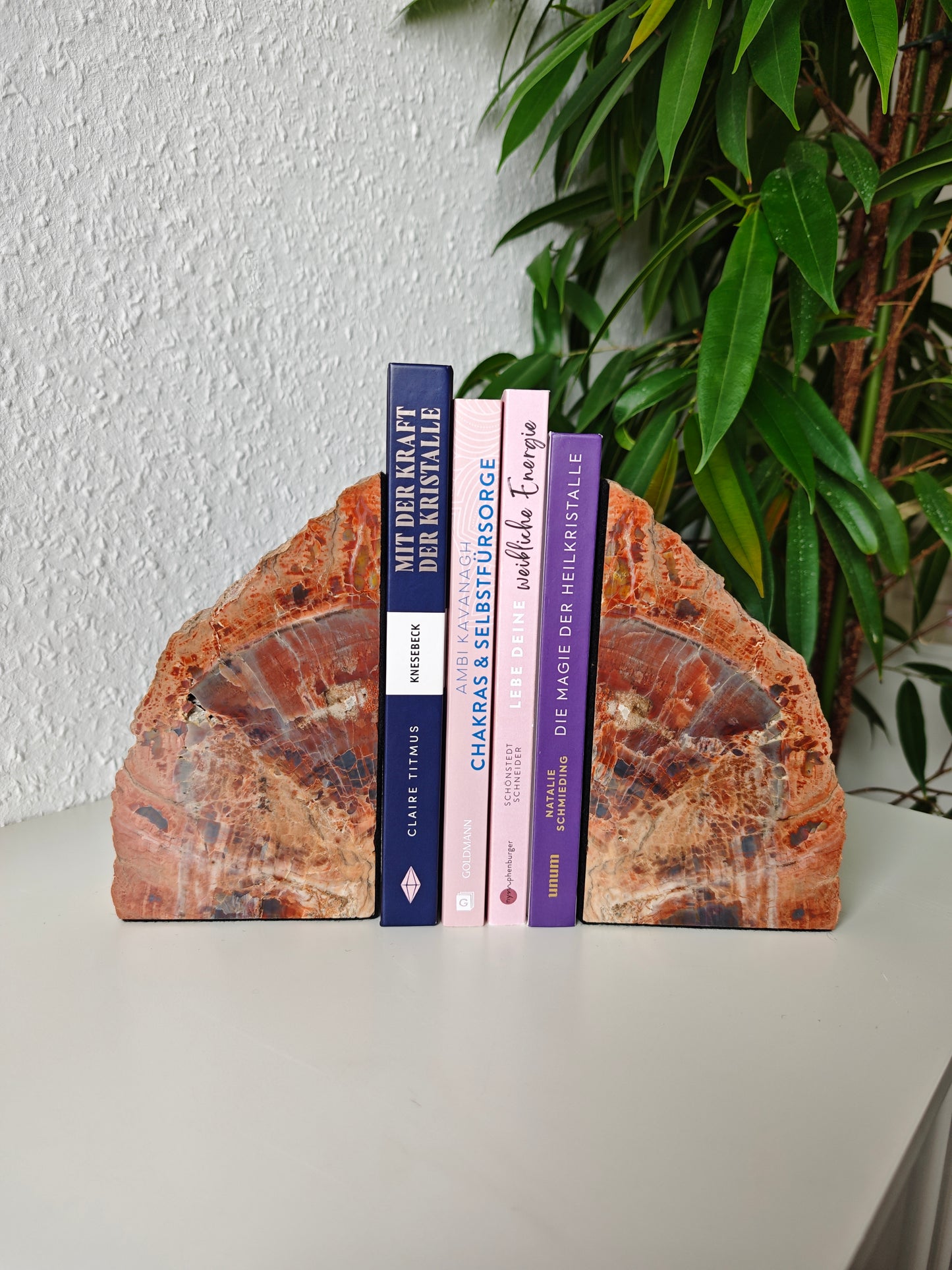 Arizona Versteinertes Holz Buchstützen 3,07kg