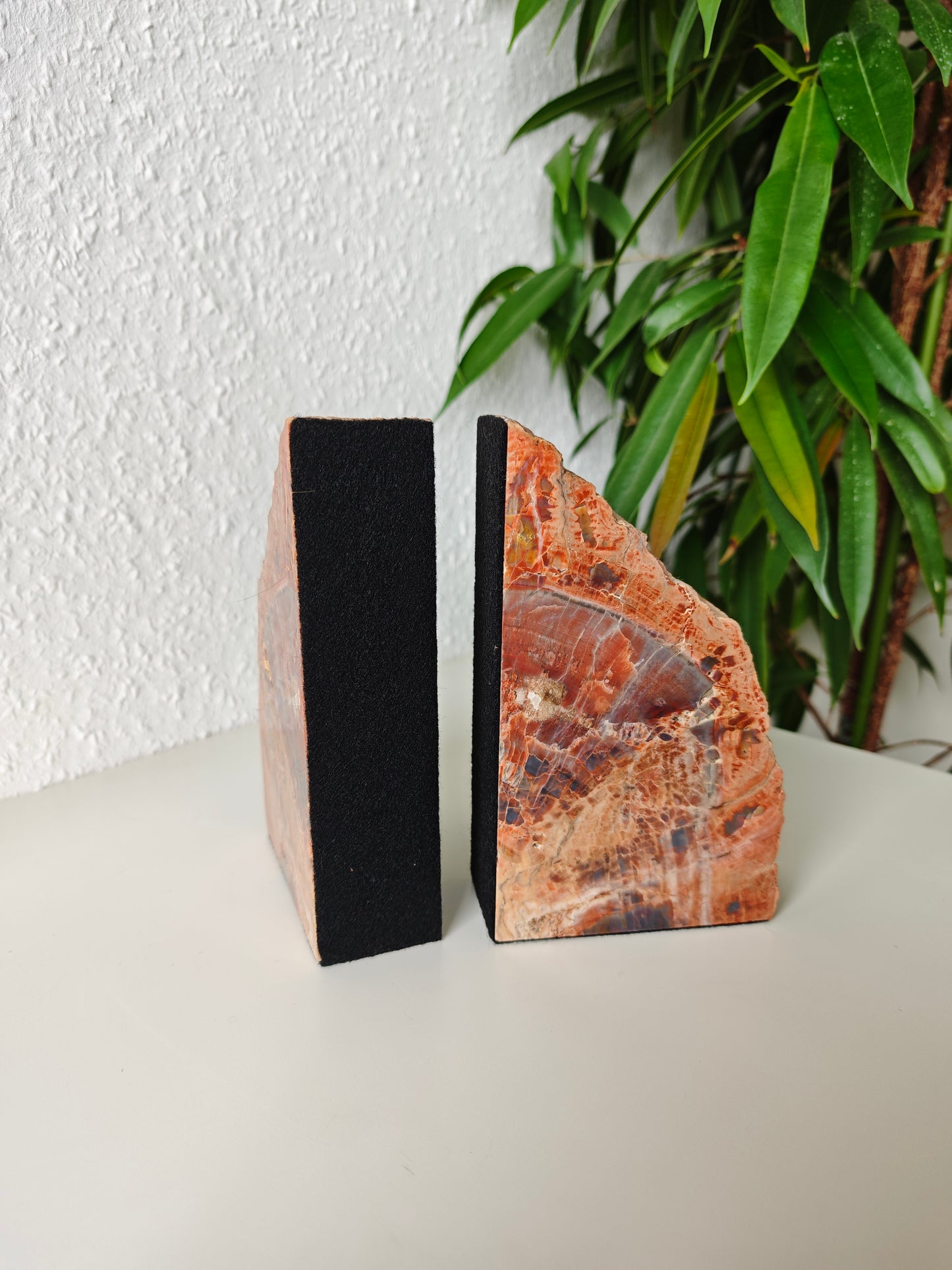 Arizona Versteinertes Holz Buchstützen 3,07kg