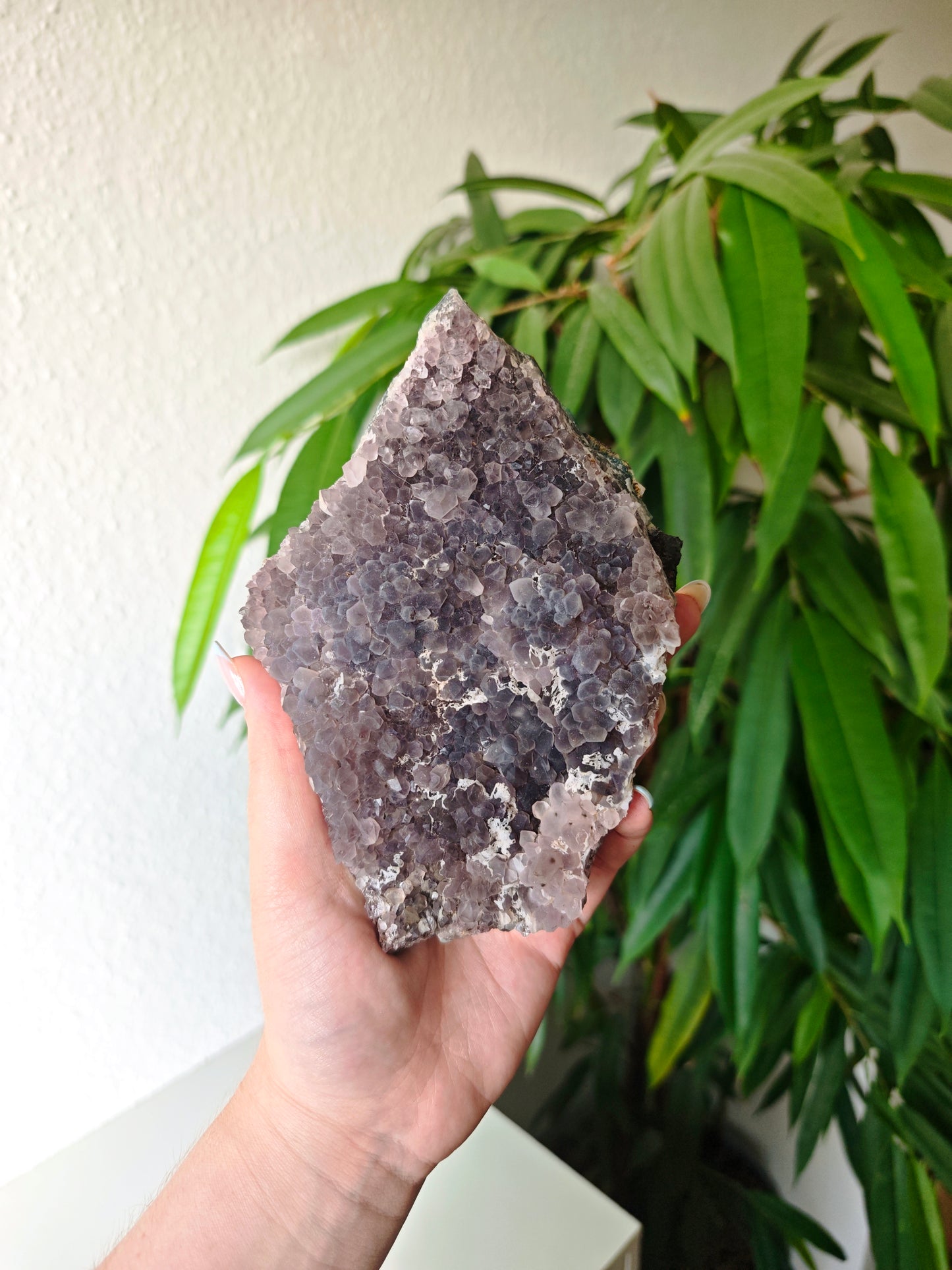Sugar Amethyst 100