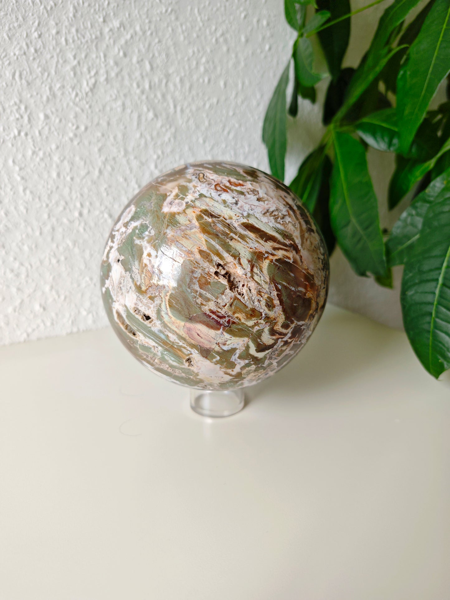 Statement Versteinertes Holz Kugel 14,5cm