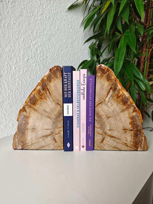 Oregon Versteinertes Holz Buchstützen 4,06kg