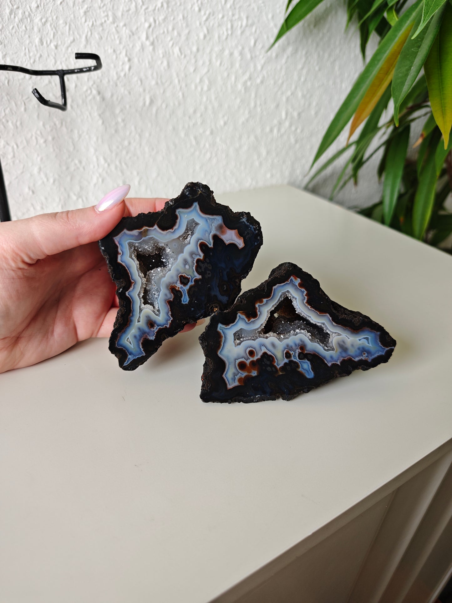 Achat Flügel auf Ständer 165AF