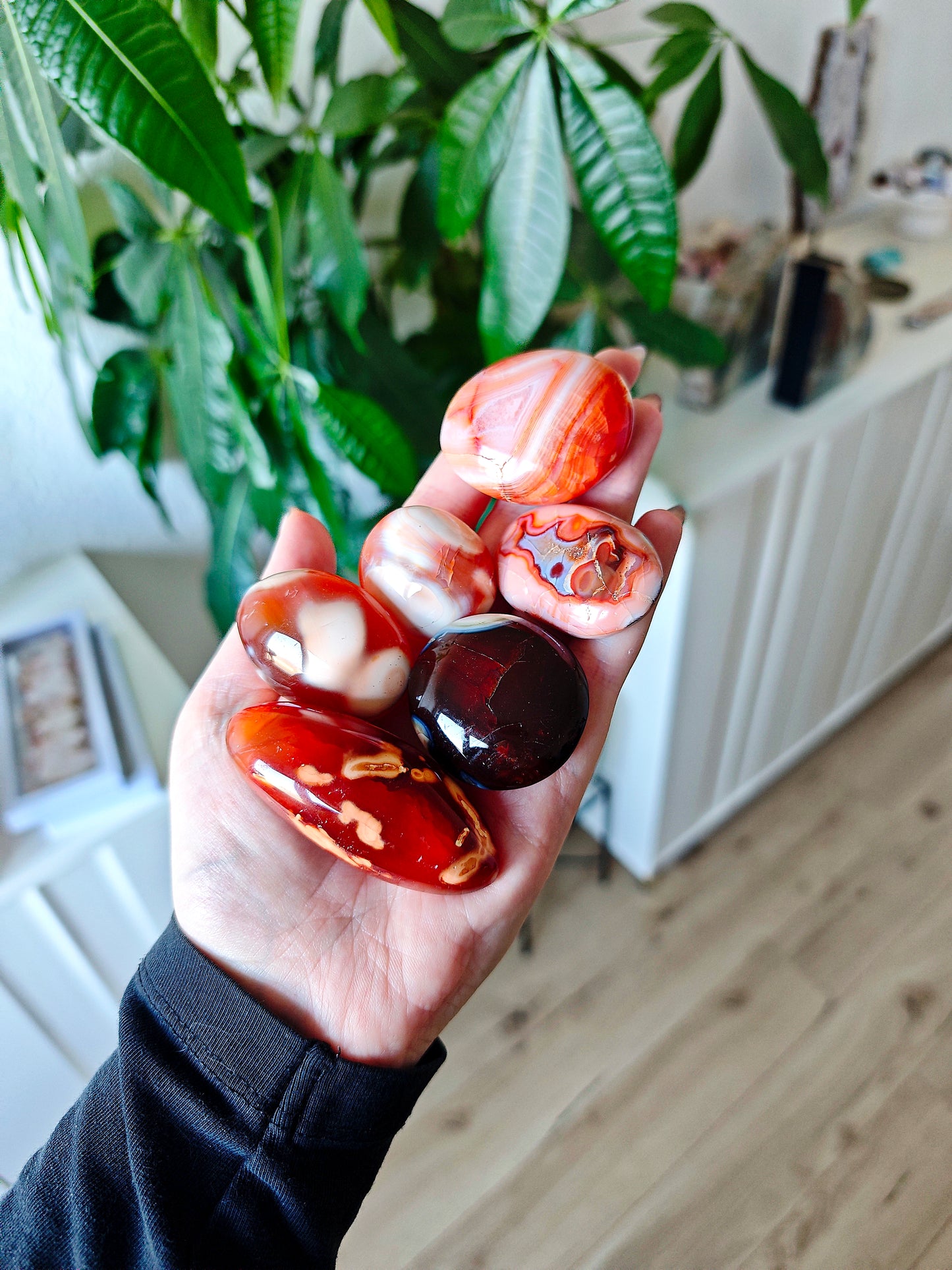 Karneol Orca Achat - choose yourself