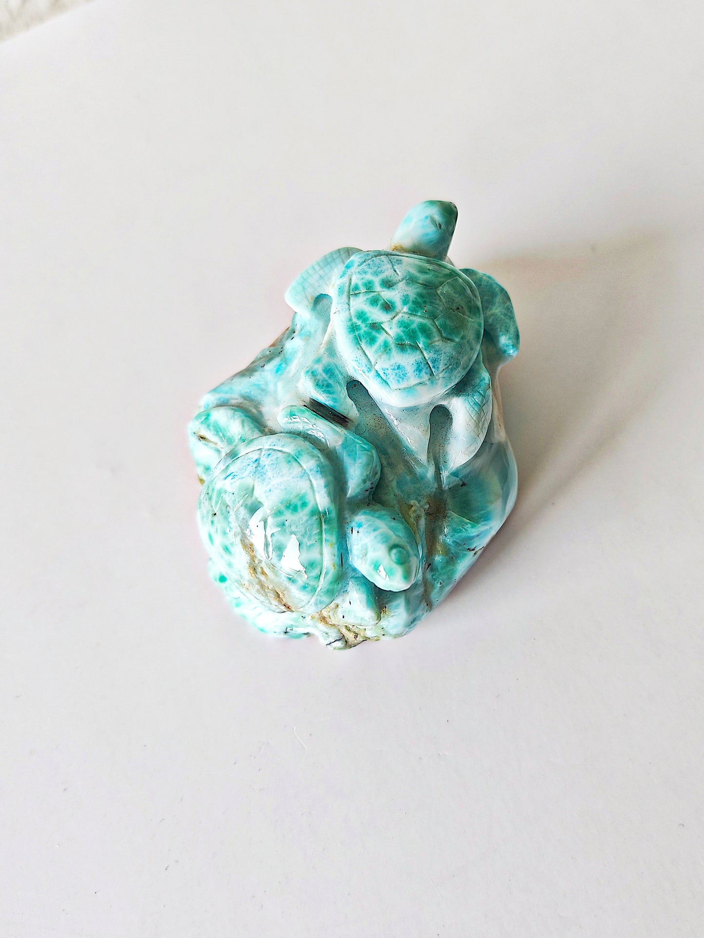 Larimar Schildkröten