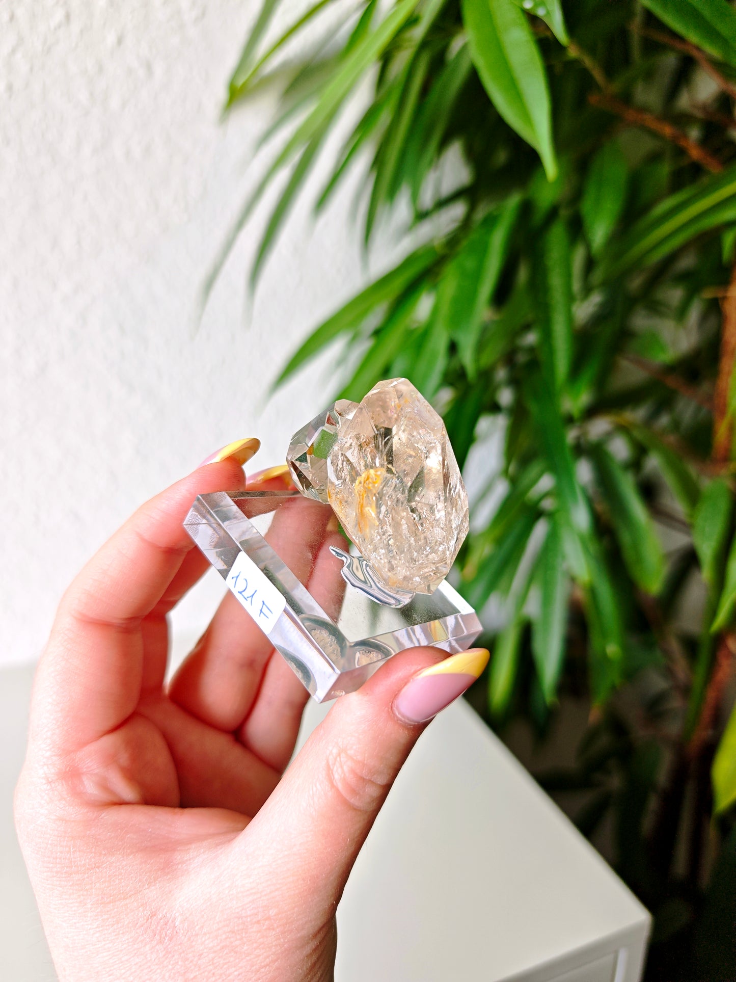 Herkimer 121F