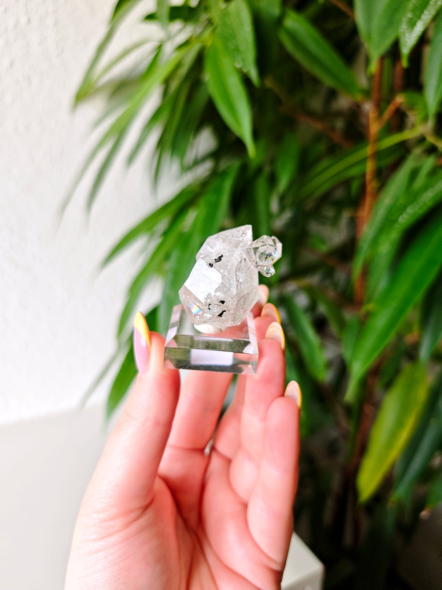 Herkimer 68H