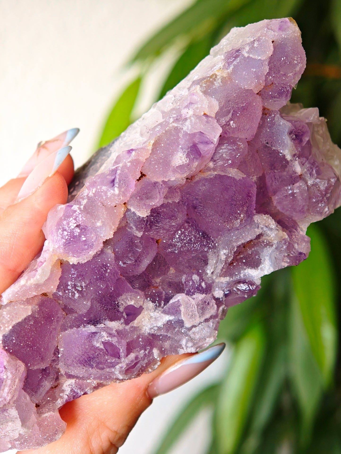 Sugar Amethyst 71