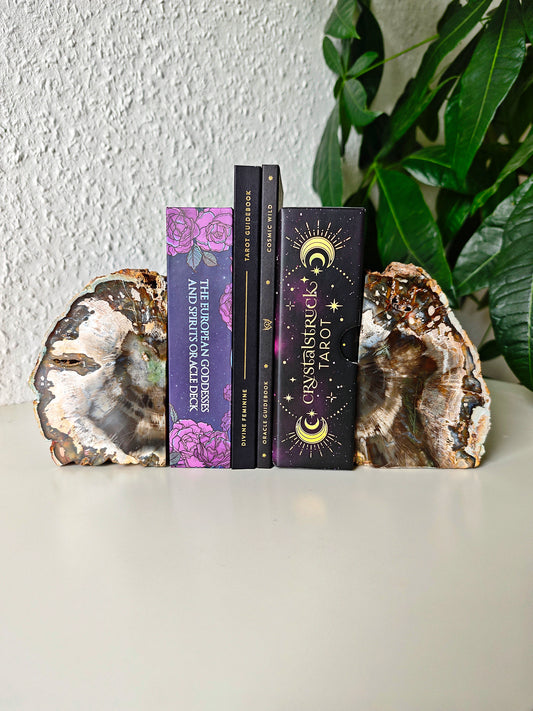 Madagaskar Versteinertes Holz Buchstützen