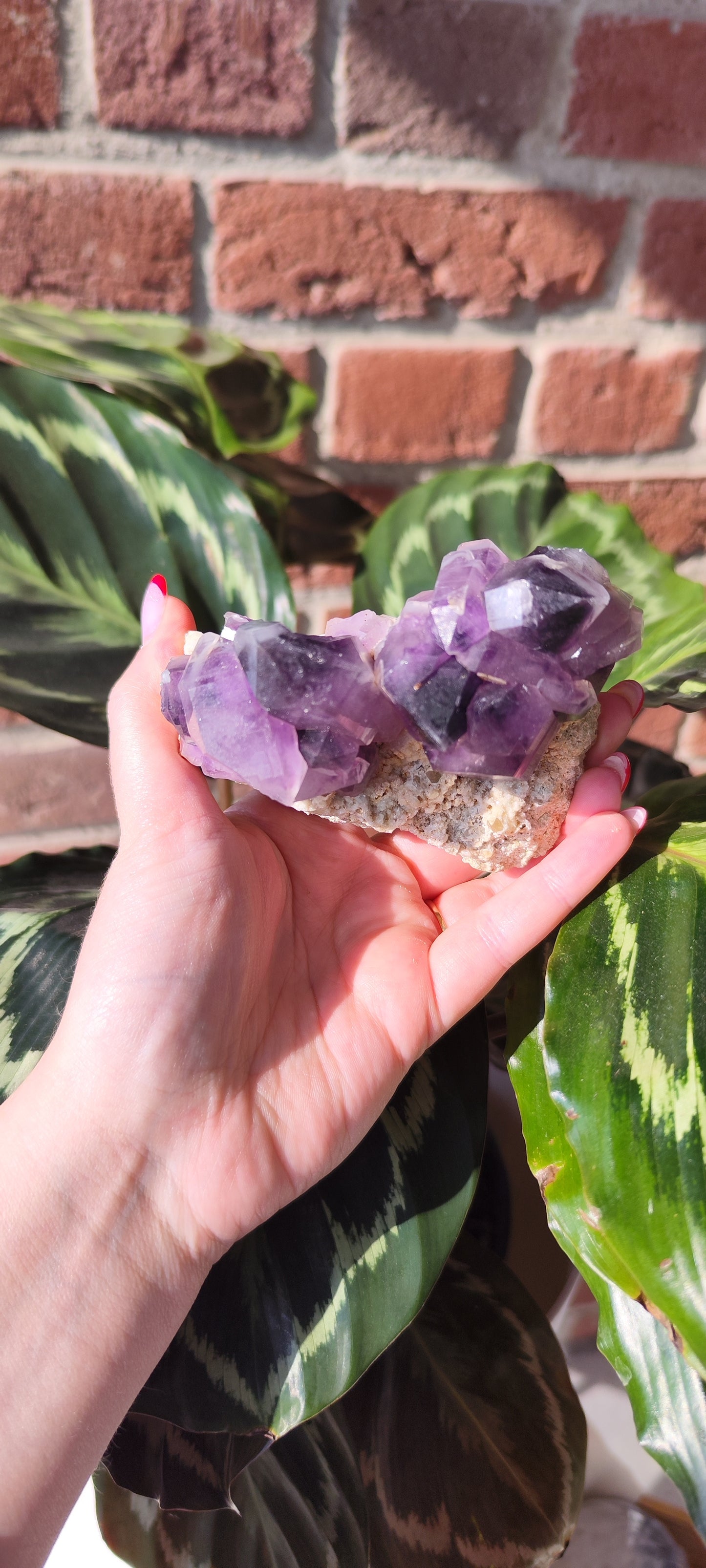 Namibia Amethyst Cluster 298A