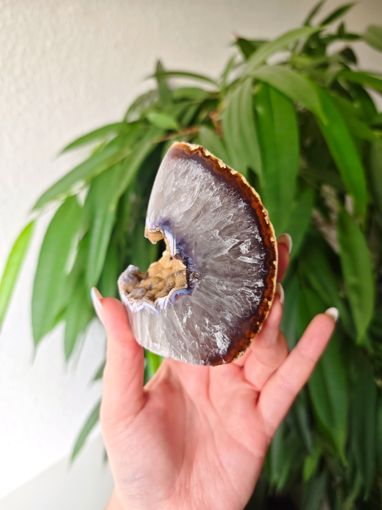Sugar Achat Geode