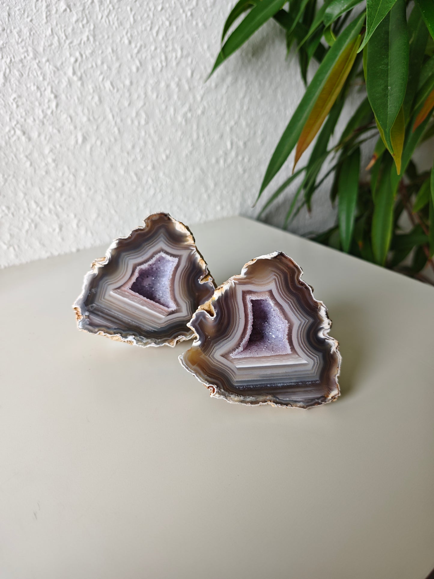 Achat Flügel auf Ständer 160AF