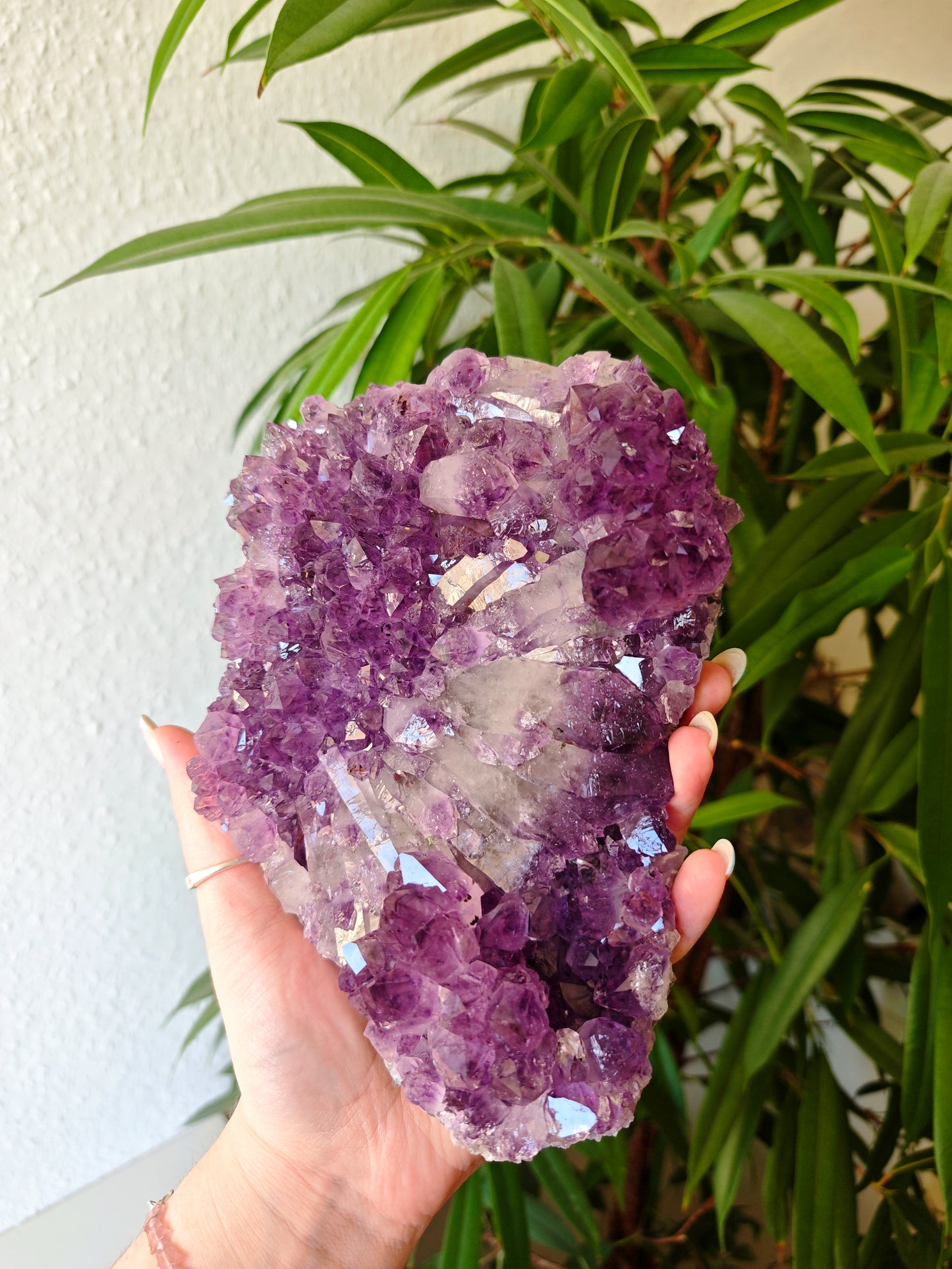 Amethyst Cluster