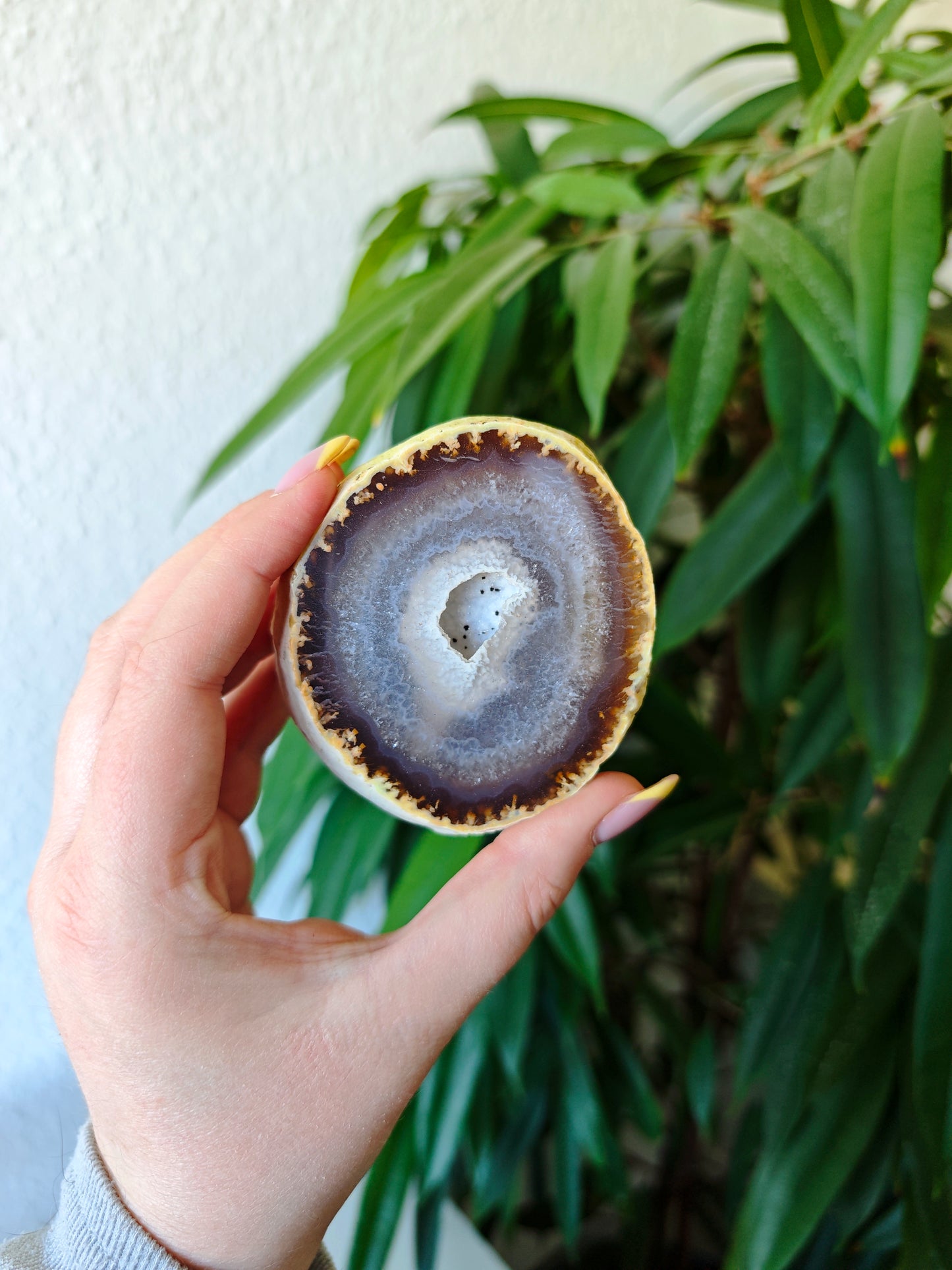 Achat Geode 14N