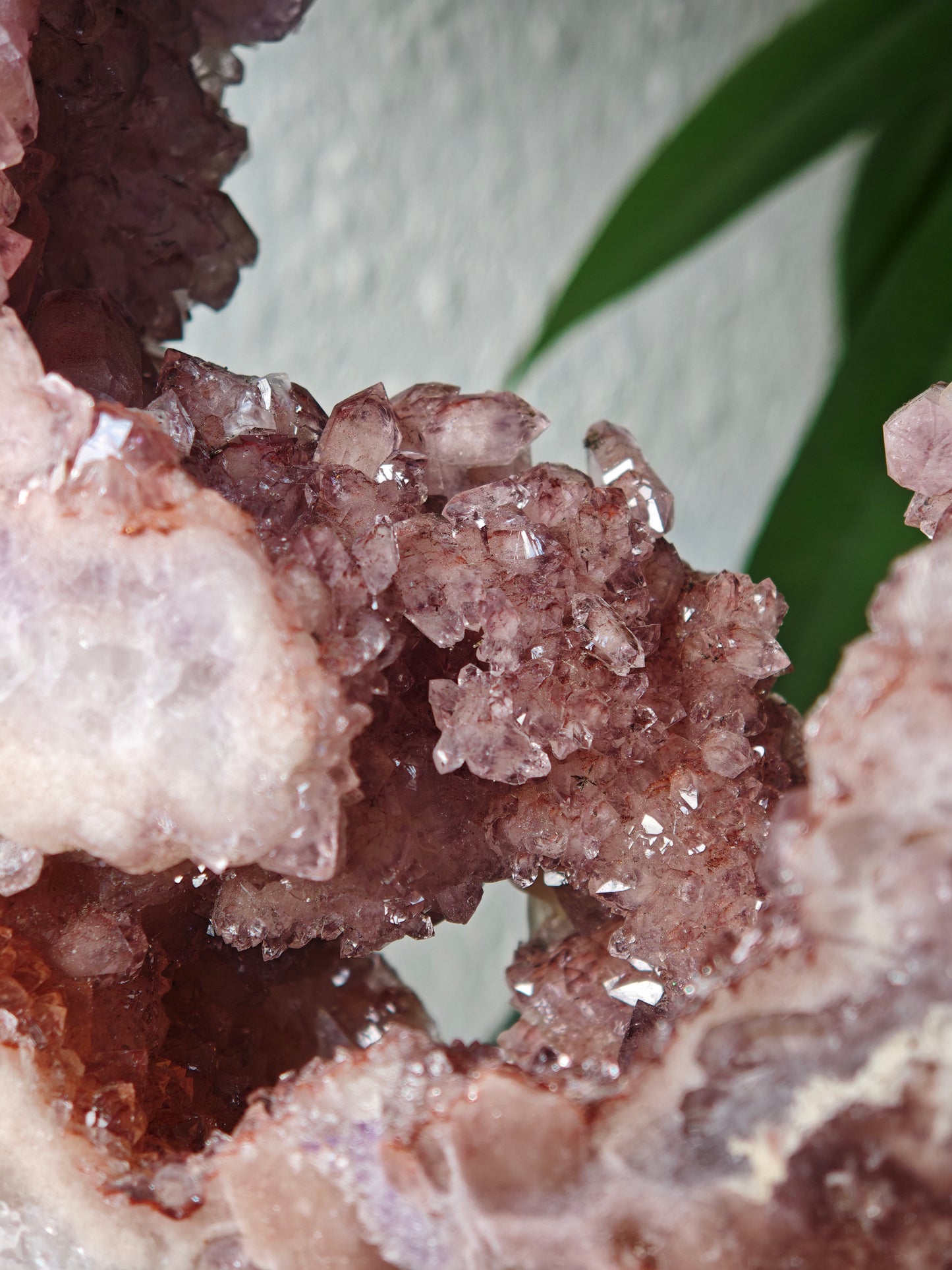 Statement Amethyst x Pinker Amethyst Portal