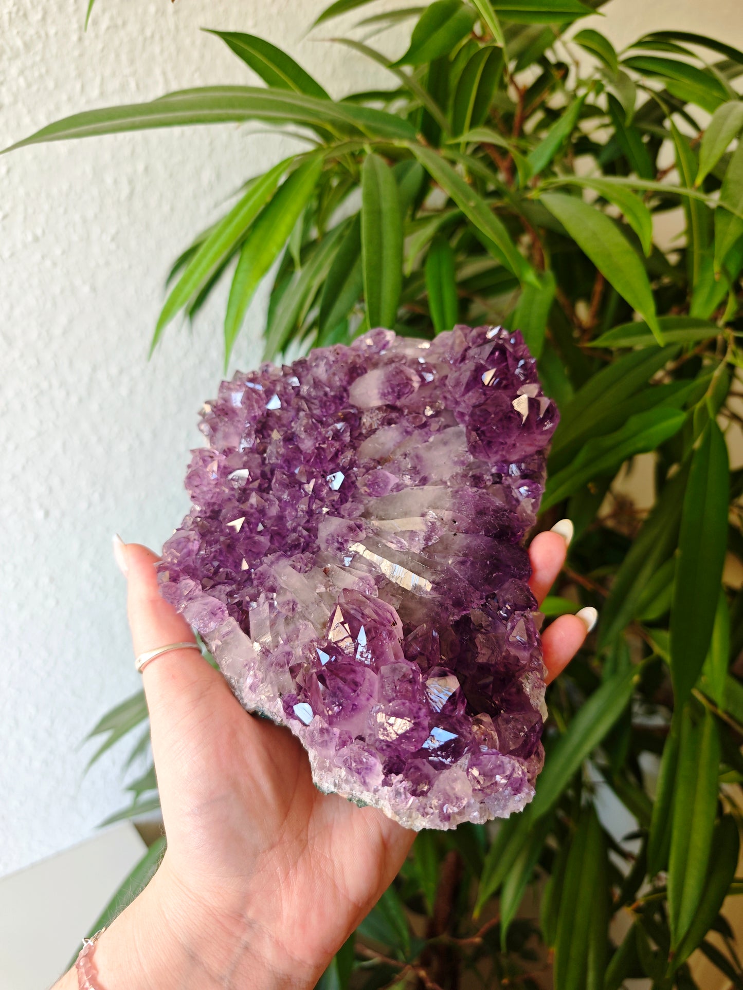 Amethyst Cluster
