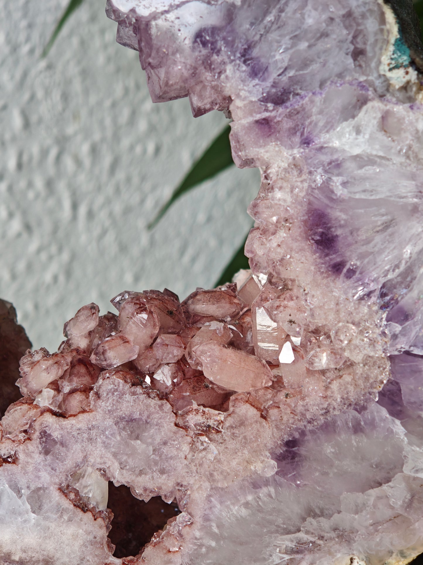 Statement Amethyst x Pinker Amethyst Portal
