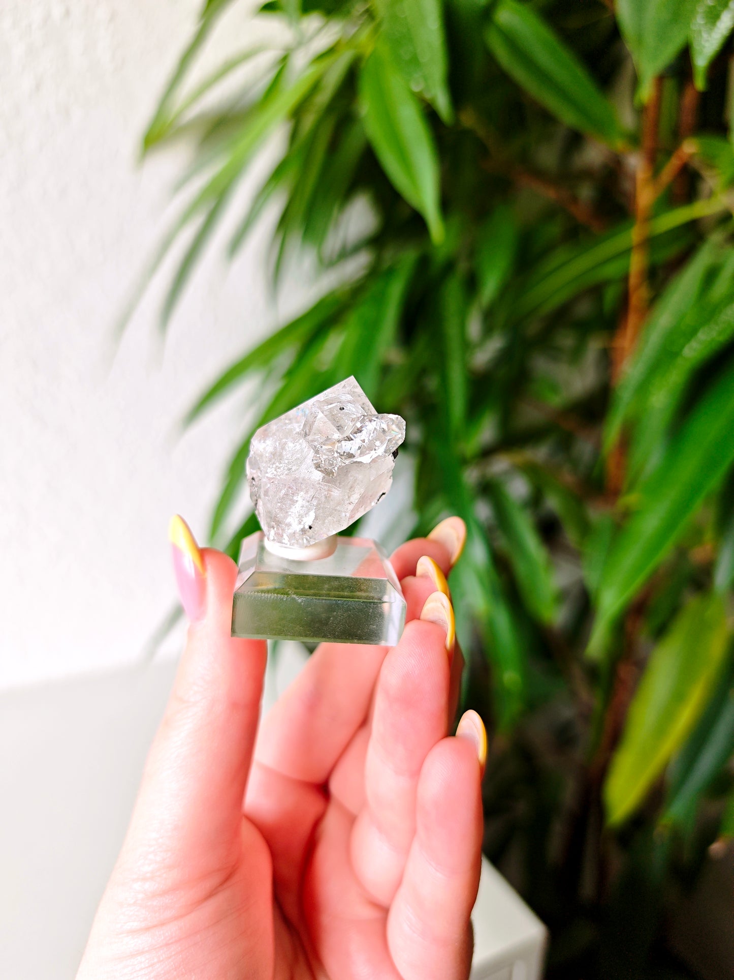 Herkimer 68H