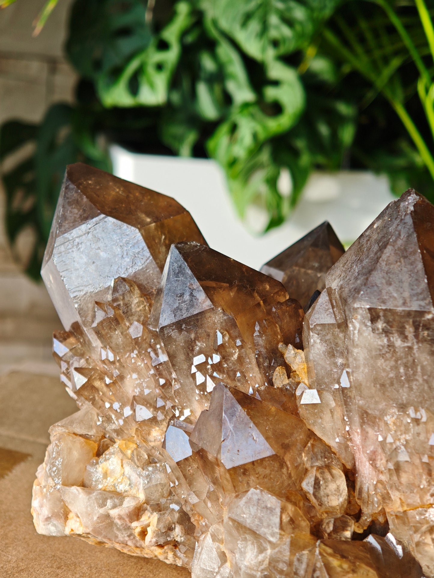 Rauchiger Citrin aus Finnland