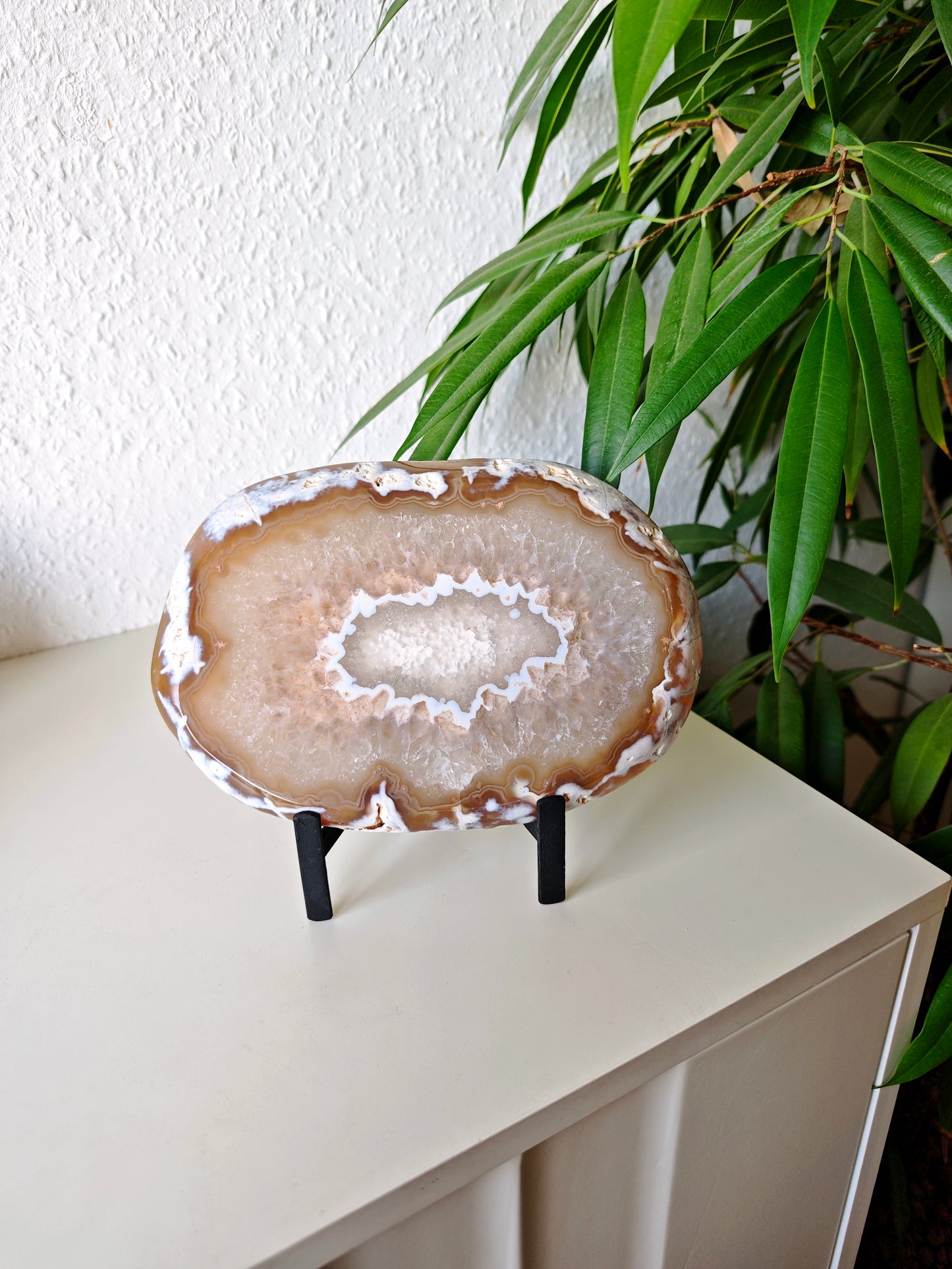 Achat Scheibe mit soft Pink Sugar Druse