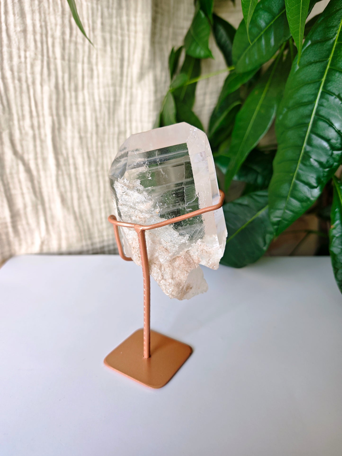 Diamtina Weißer Gartenquarz Lemurian