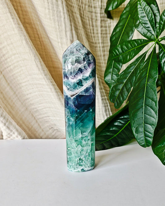 Durango Fluorit 120F