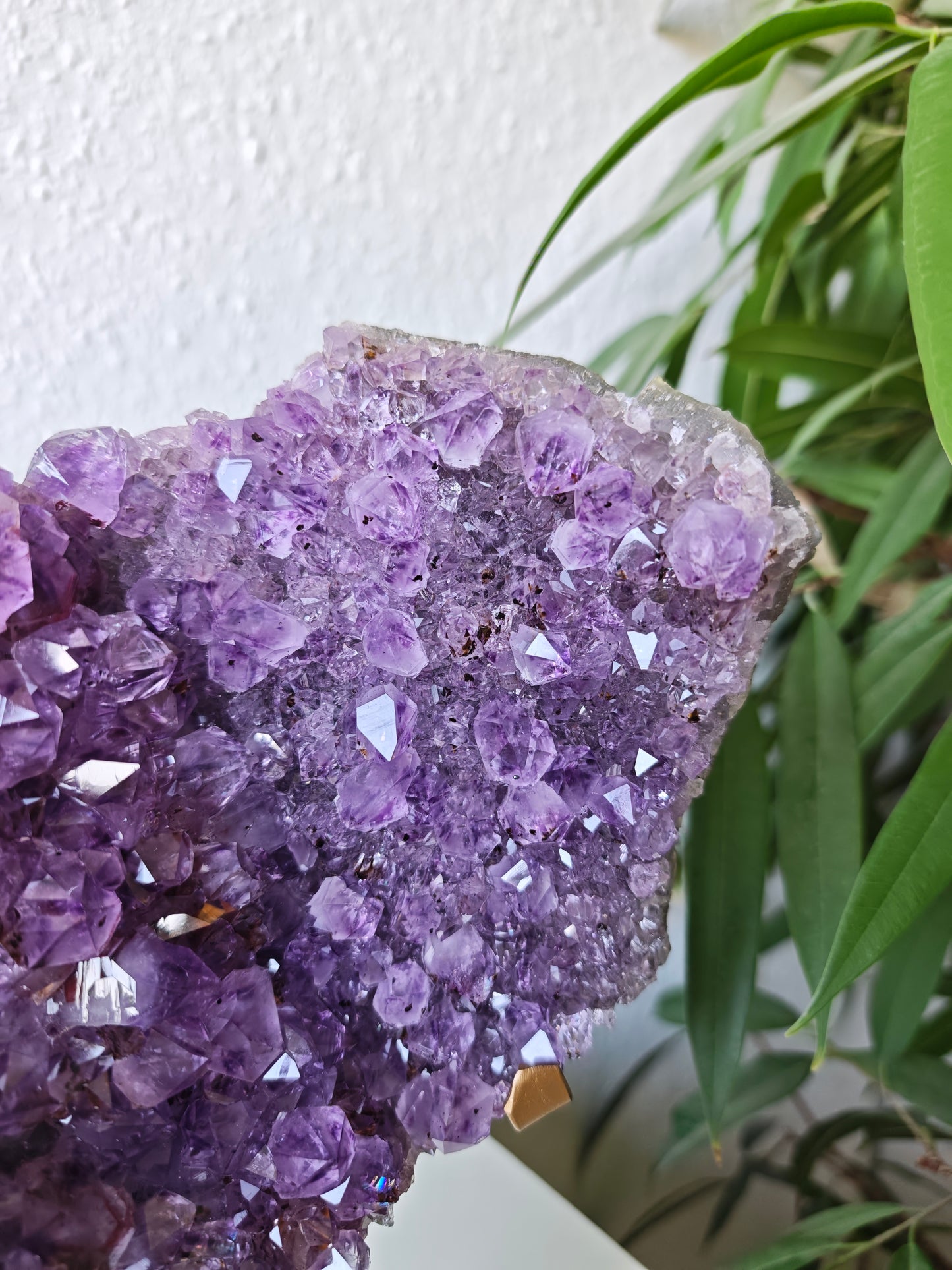 Amethyst X Hämatit Cluster