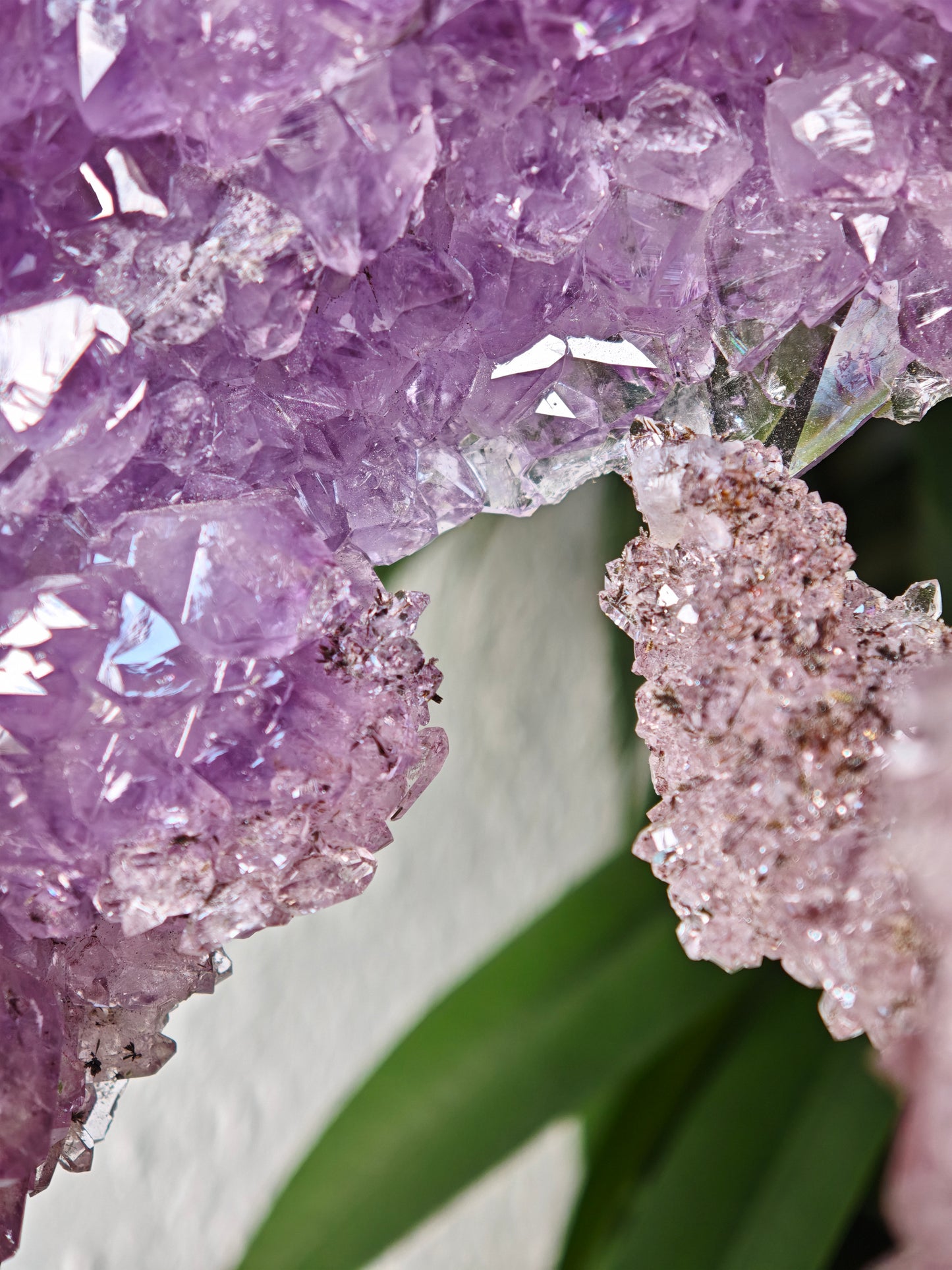 Statement Amethyst x Pinker Amethyst Portal