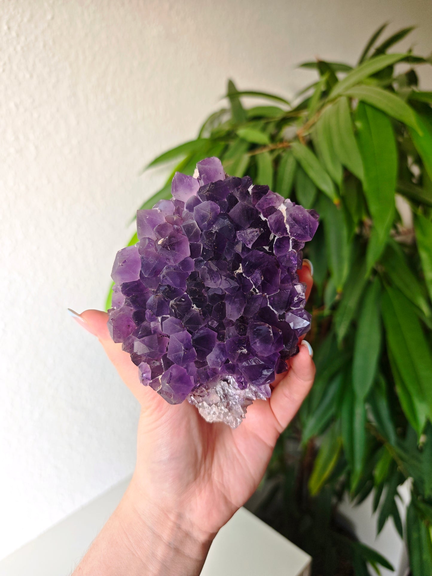 Sugar Amethyst 110
